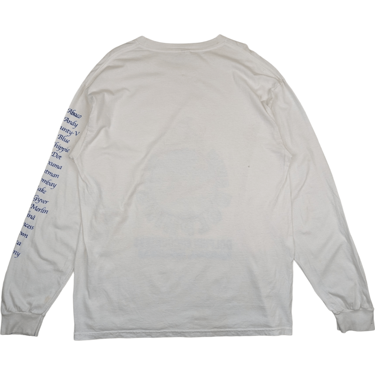 Hanes Vintage 2000's DOLPHIN'S Graphic Long Sleeve T-Shirt Size US L / EU 52-54 / 3 - 6 Thumbnail