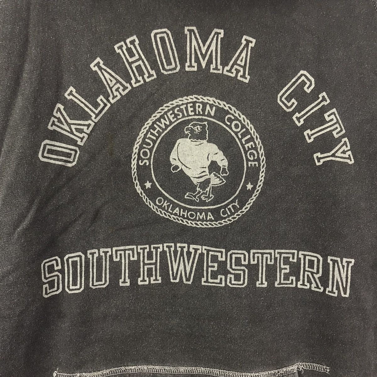 Vintage CHESWICK SUGAR CANE x Oklahoma City Toyo Enterprise Hoodie Size US L / EU 52-54 / 3 - 3 Thumbnail