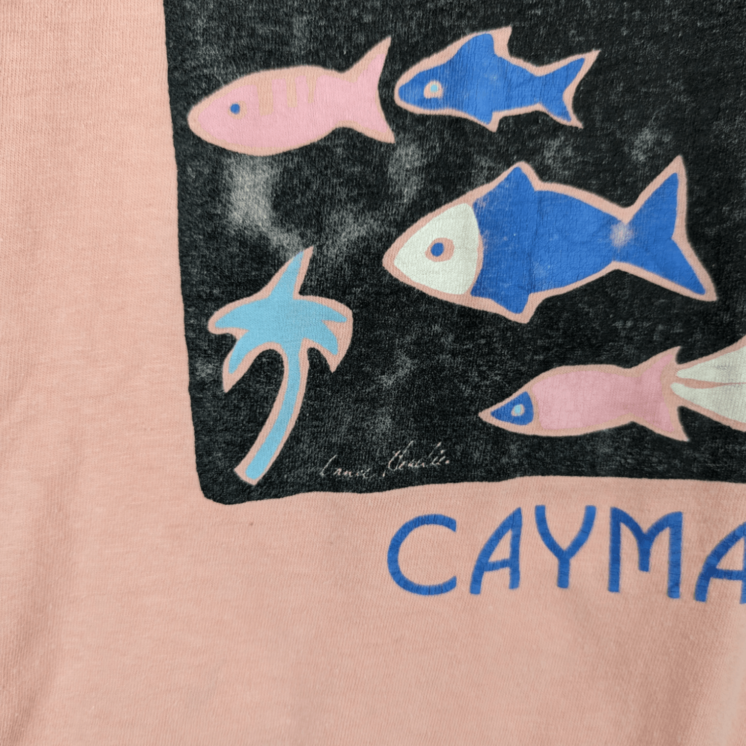 Vintage Vintage 90's CAYMAN ISLAND Fish T-Shirt Single Stitches Size US M / EU 48-50 / 2 - 5 Thumbnail