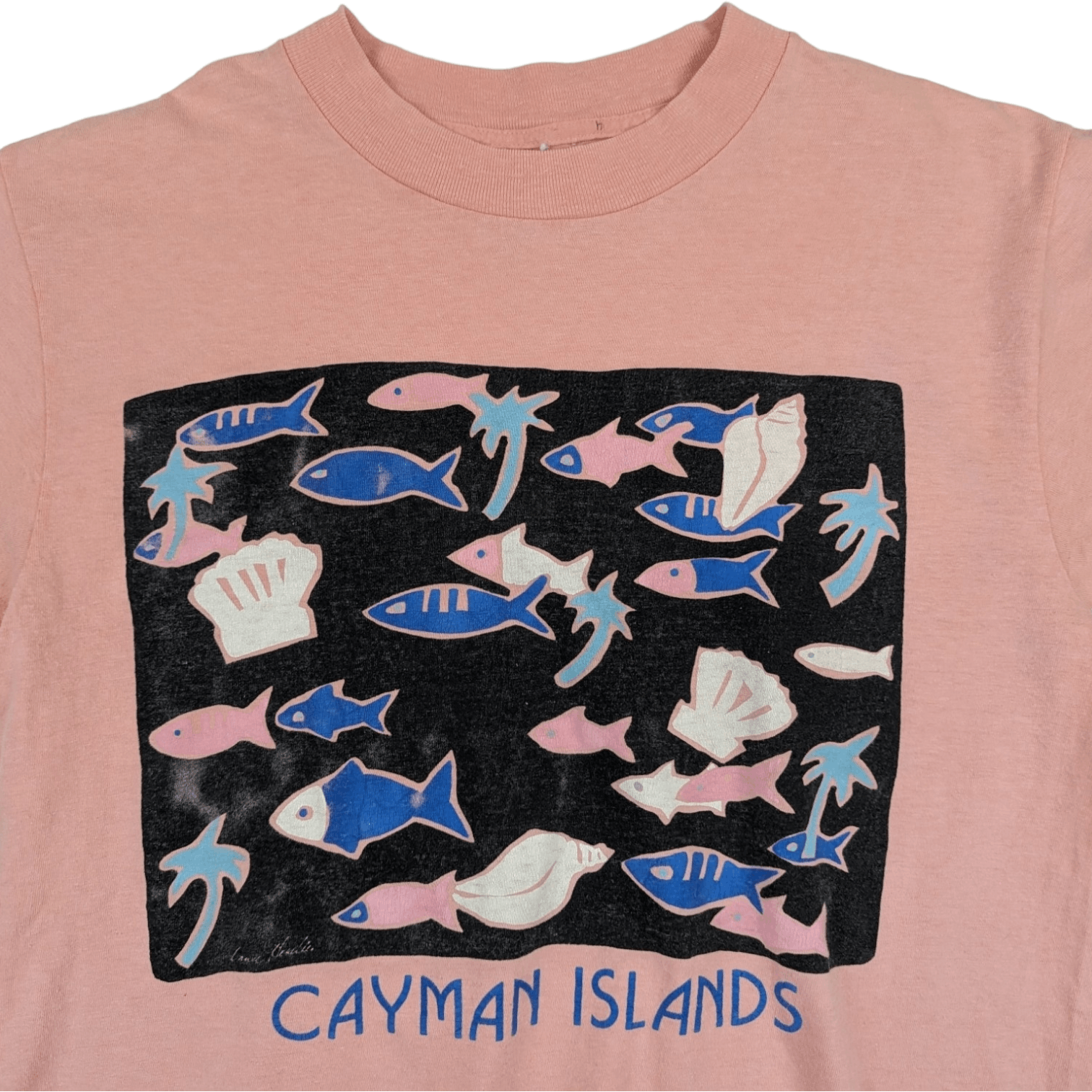 Vintage Vintage 90's CAYMAN ISLAND Fish T-Shirt Single Stitches Size US M / EU 48-50 / 2 - 4 Thumbnail