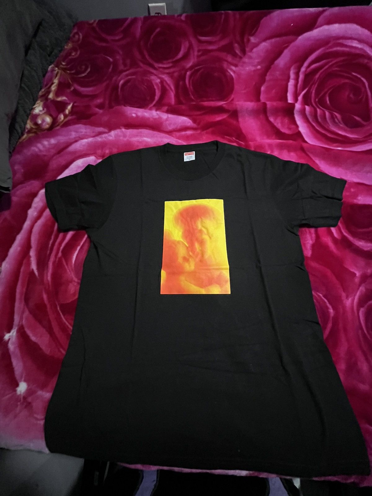 madonna and child supreme x andres serrano Tops