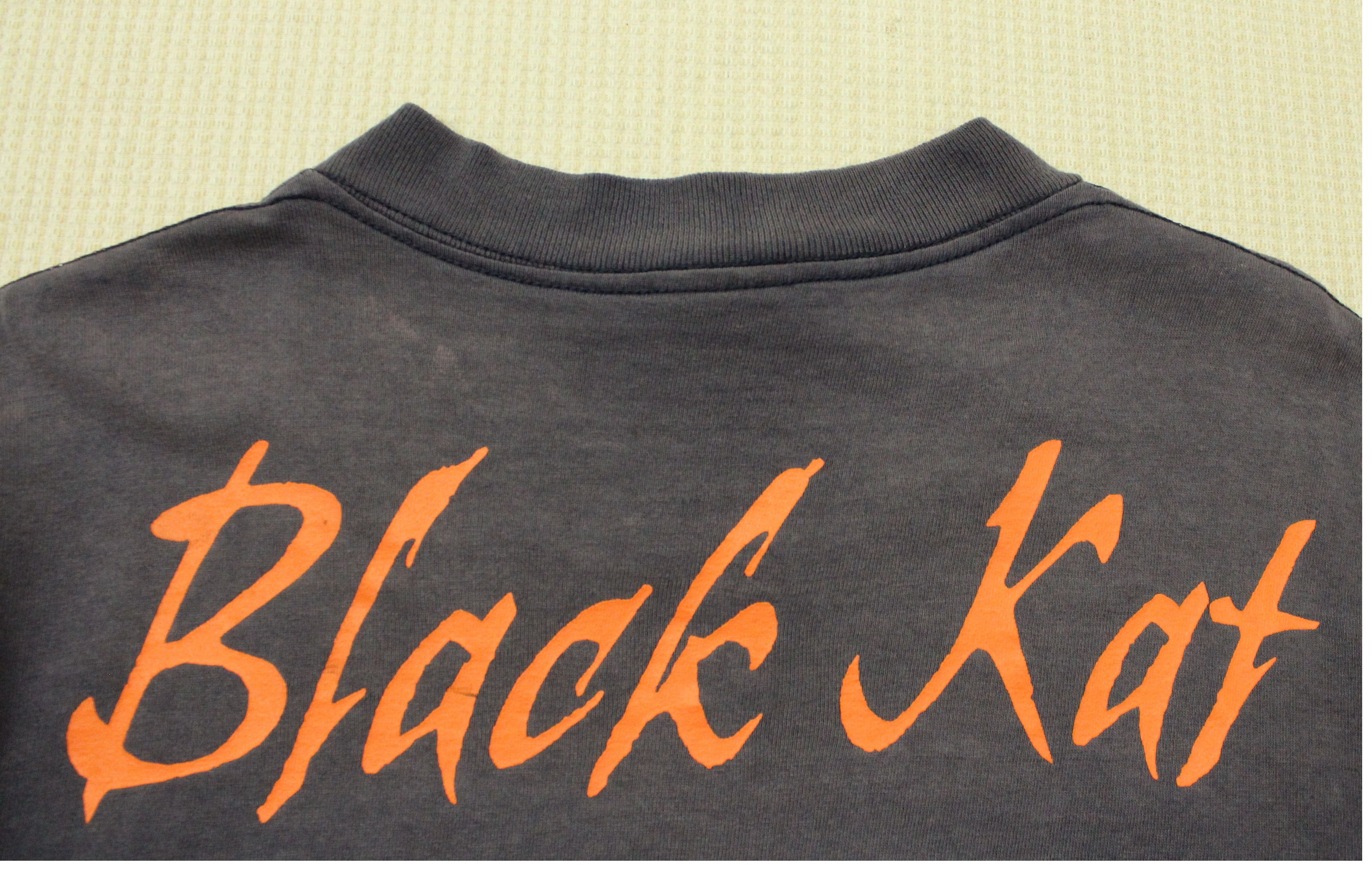 Vintage Faded Sunfaded Thrashed Distressed DICKIES T Shirt Black Kat Size US L / EU 52-54 / 3 - 10 Thumbnail