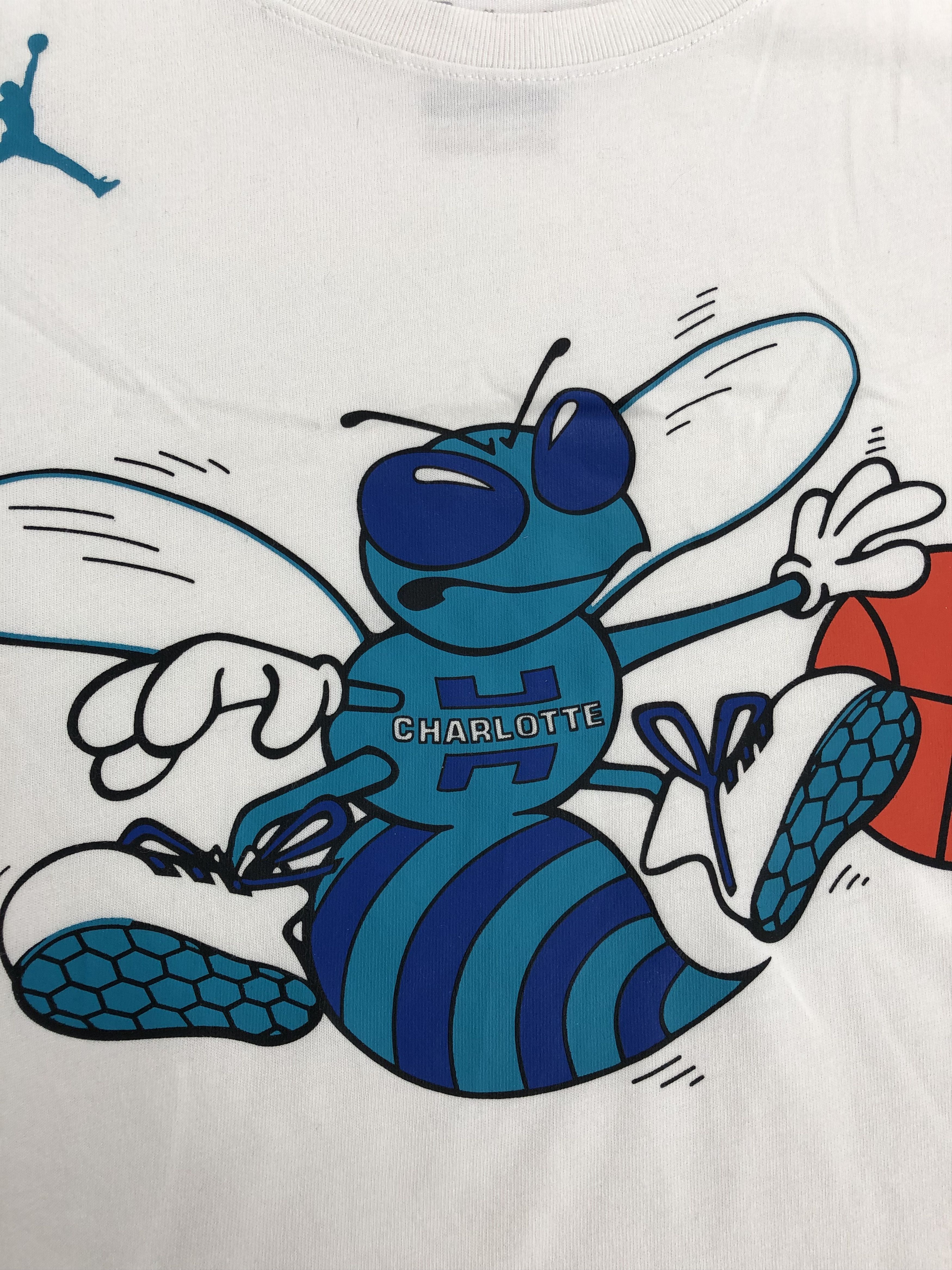 NBA Nike Charlotte Hornets NBA t-shirt Size US M / EU 48-50 / 2 - 3 Thumbnail