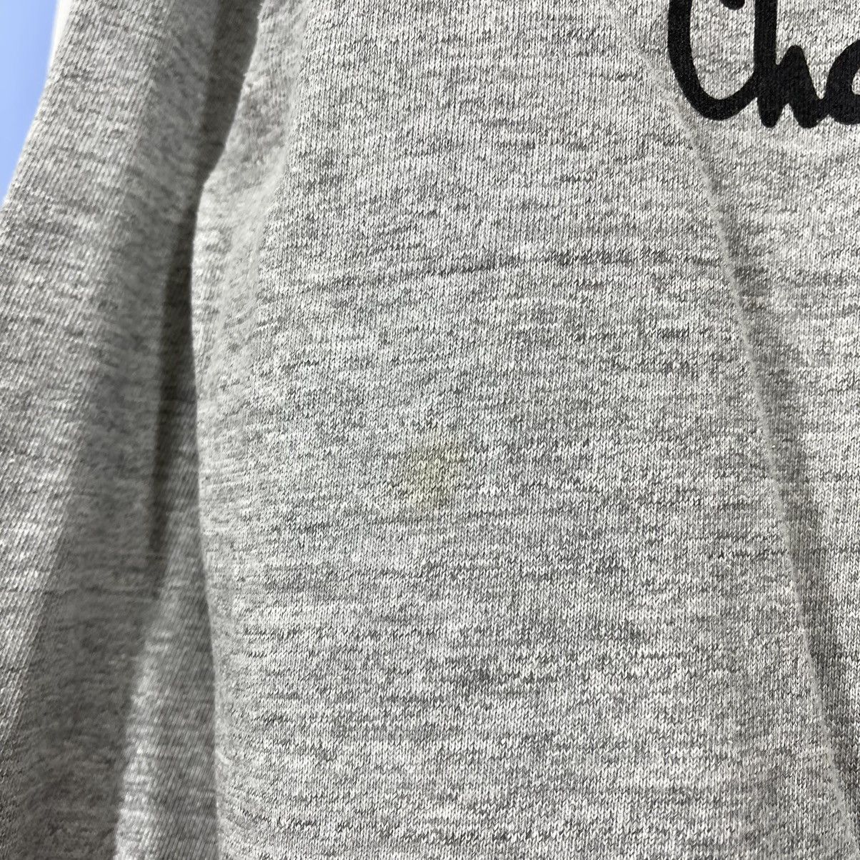 Champion CHAMPION PRODUCTS Crew Neck Sweatshirt #068-104 Size US L / EU 52-54 / 3 - 7 Thumbnail