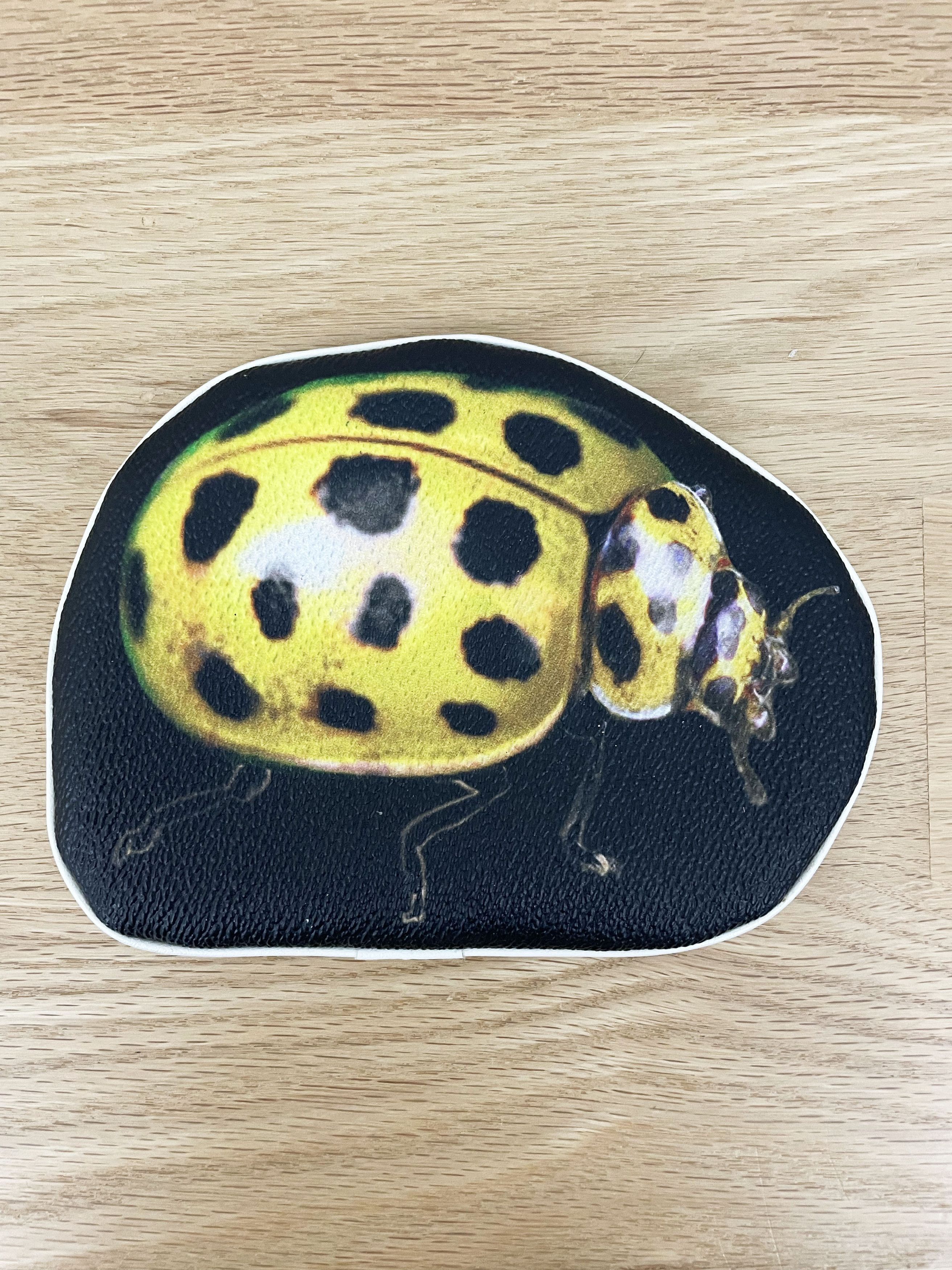 Undercover AW16 Ladybug Pouch | Grailed
