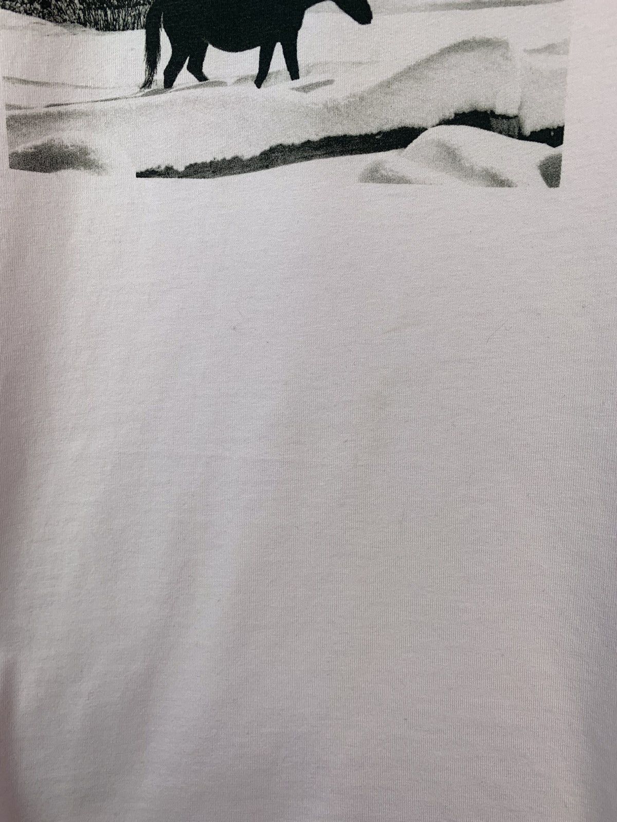 Calvin Klein Calvin Klein X Andy Warhol Rare Horse Graphic T-Shirt Size US L / EU 52-54 / 3 - 8 Thumbnail