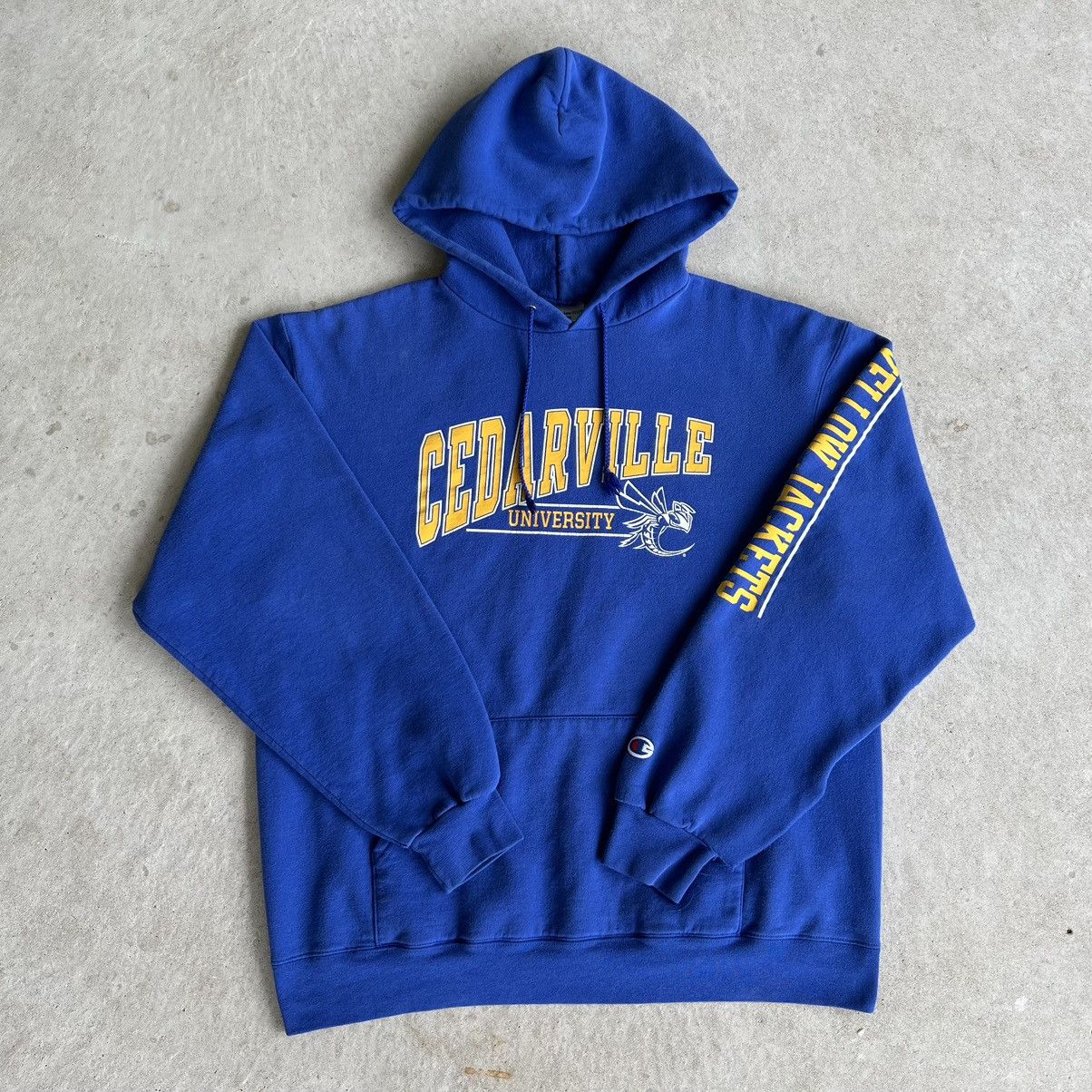 Vintage Vintage 2000’s Cedarville University Faded Champion Hoodie