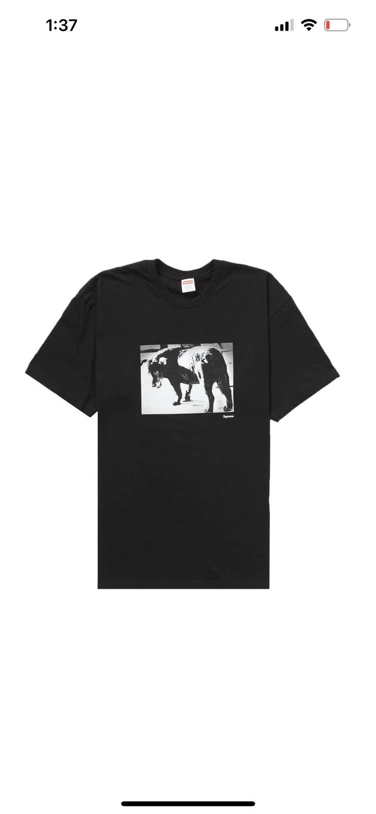 image of Supreme Daido Moriyama Dog Tee in Black, Men's (Size Large)