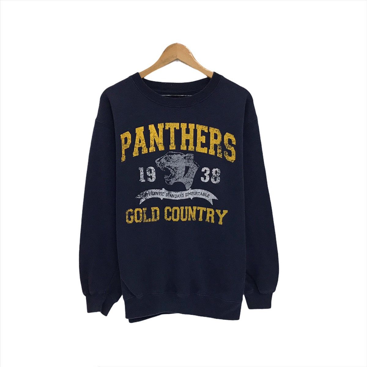 The Carolina Panthers Panthers National Football League