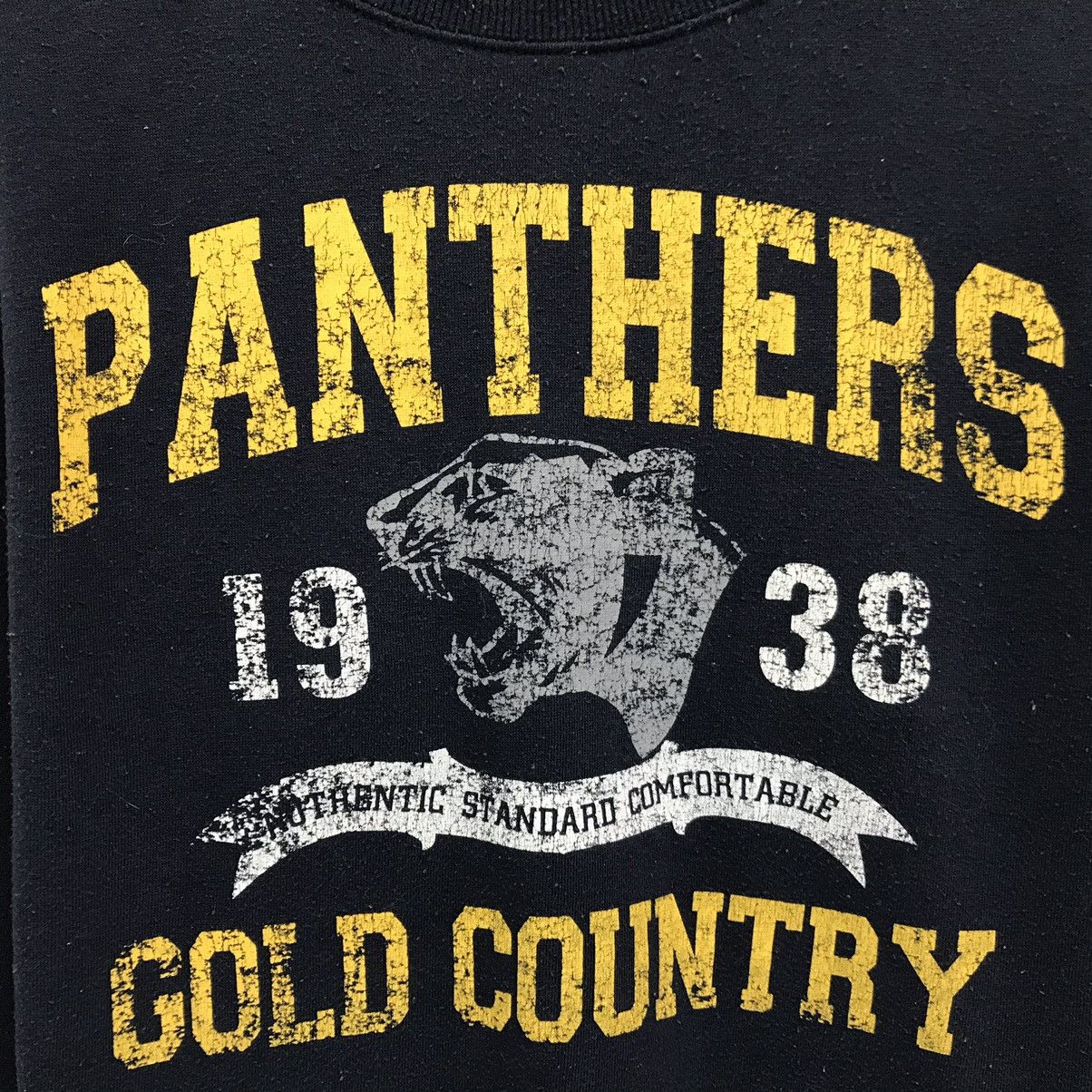 NFL × Vintage The Carolina Panthers Panthers National Football League Size US M / EU 48-50 / 2 - 3 Thumbnail