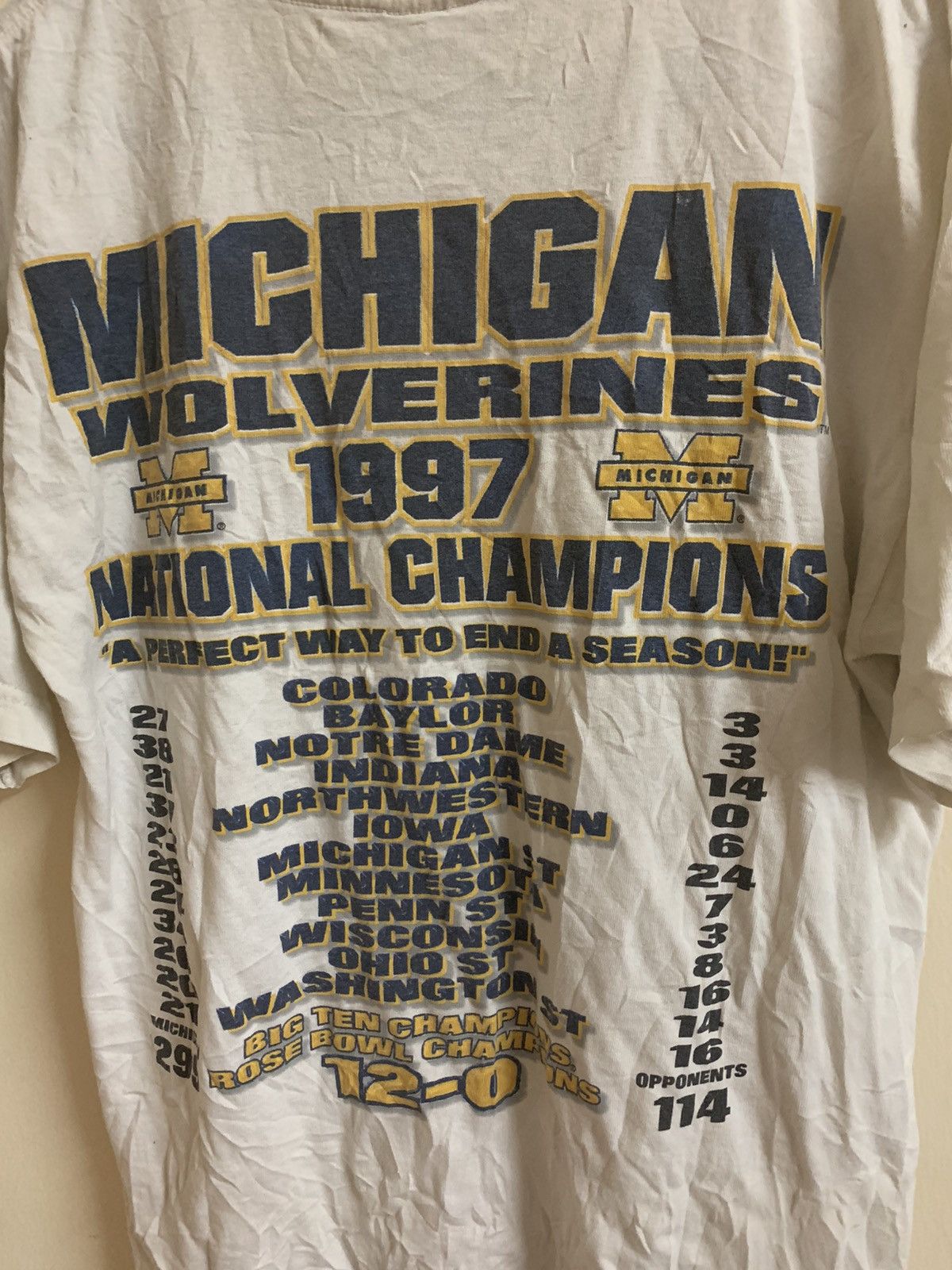 NFL Michigan Wolverines Short Sleeve Rare 90s T Shirt Size US M / EU 48-50 / 2 - 4 Thumbnail