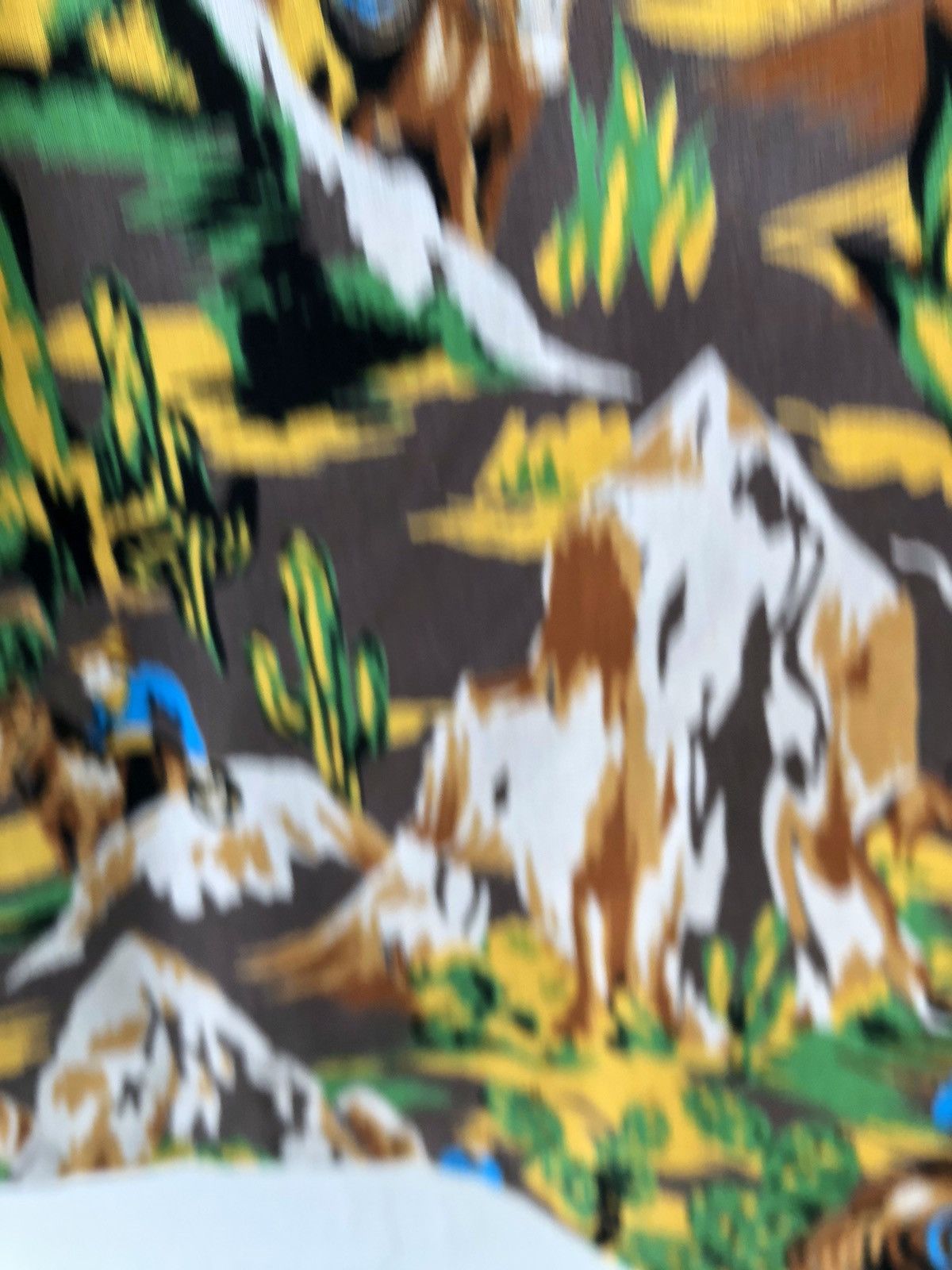The Real McCoy's Real McCoy Japan Western Cowboy Open Collar Hawaiian Shirt Size US M / EU 48-50 / 2 - 20 Thumbnail
