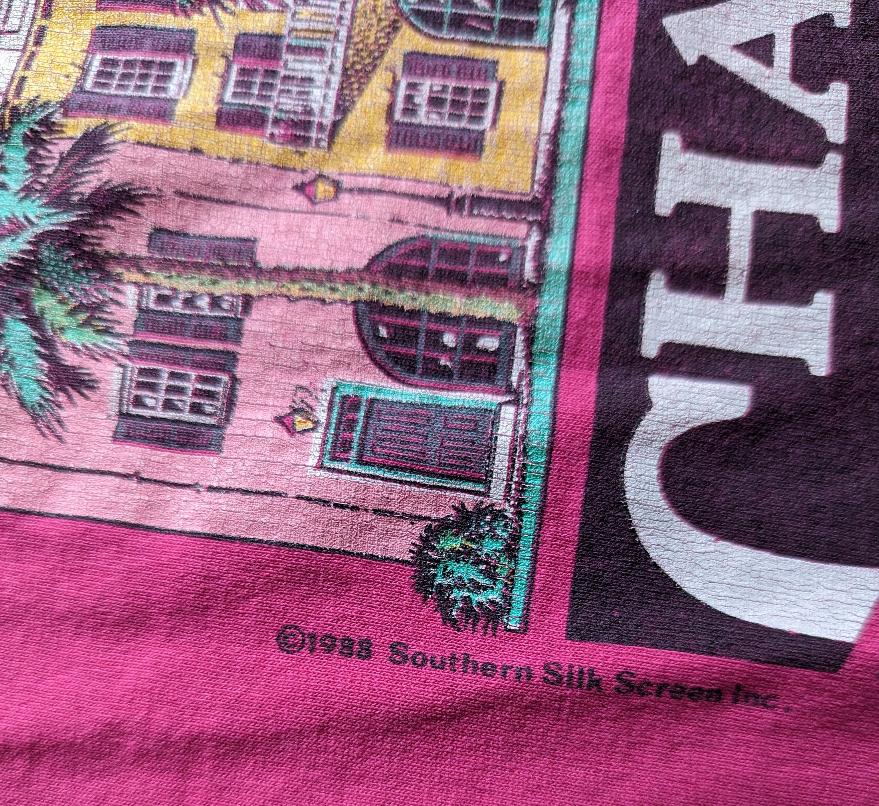 Hanes Vintage 1988 Hanes Charleston Rainbow Row Tee Size US L / EU 52-54 / 3 - 2 Thumbnail