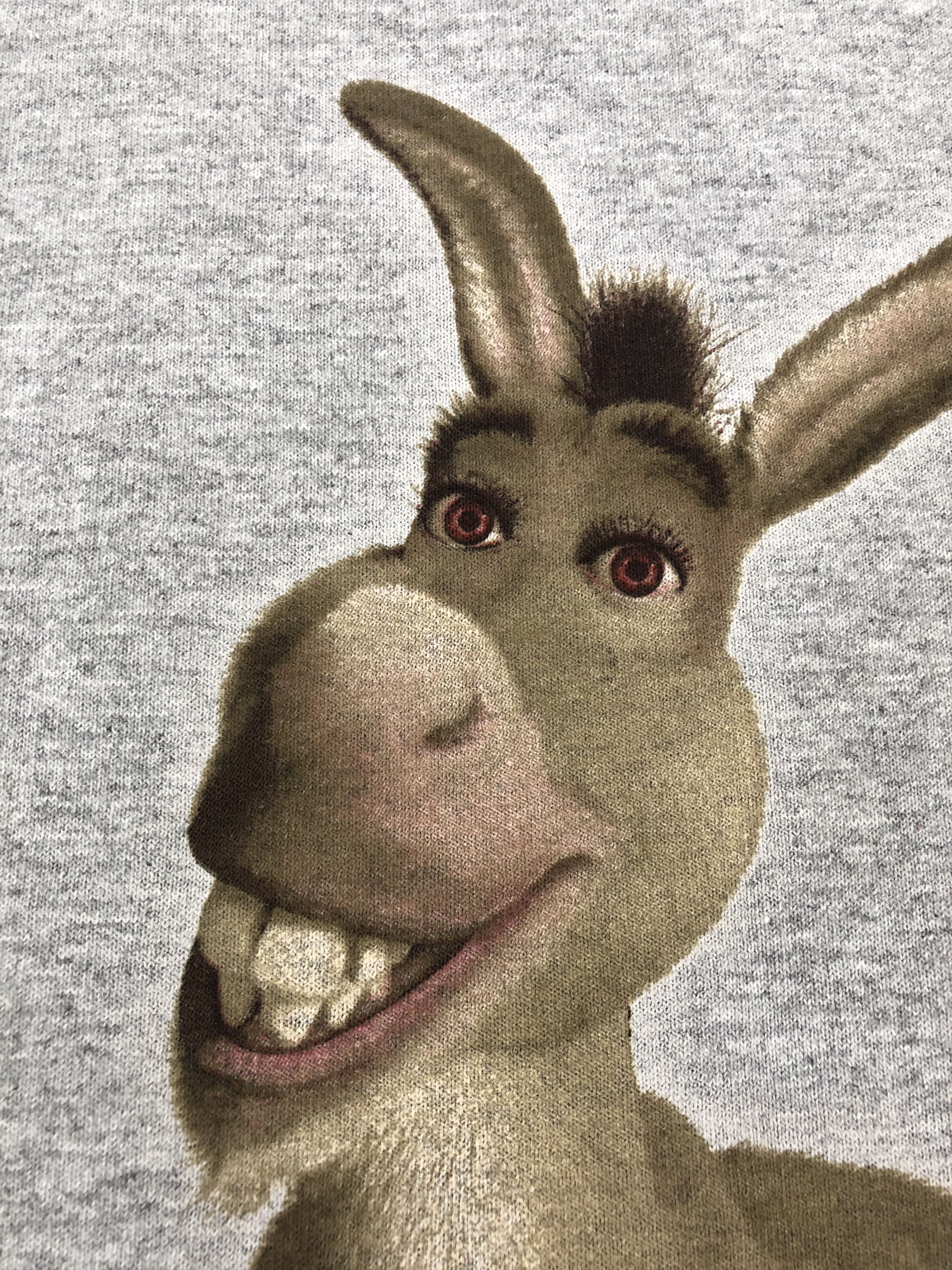 Universal Studios Vintage 2003 Shrek 4-D (Jurassic Park Fast and the Furious Size US M / EU 48-50 / 2 - 6 Thumbnail