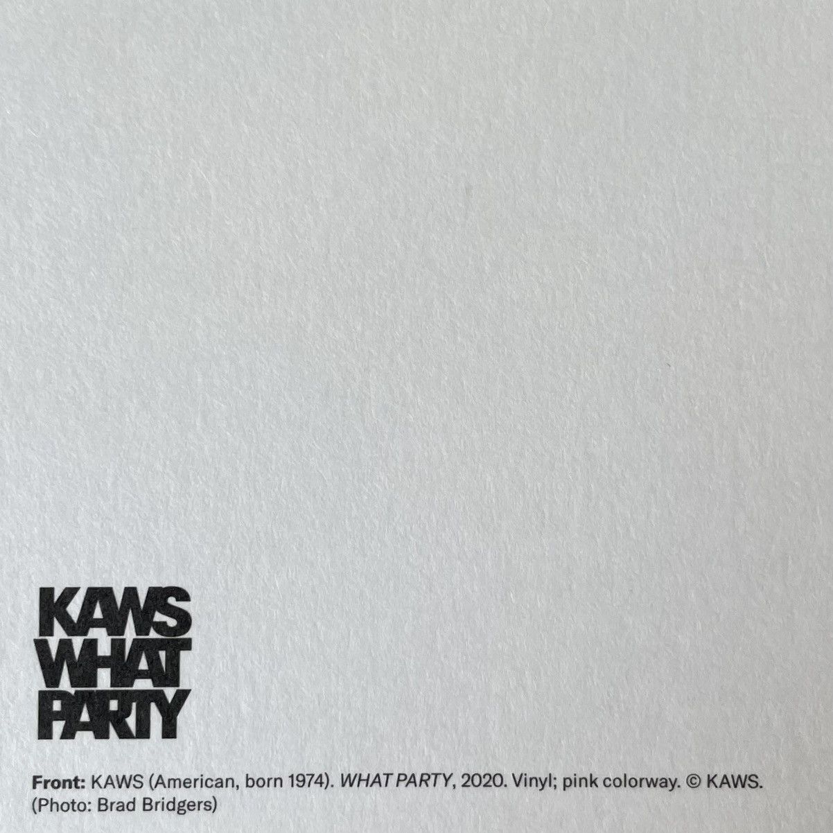 Kaws Kaws What Party Vinyl Figure Poster Size ONE SIZE - 2 Thumbnail