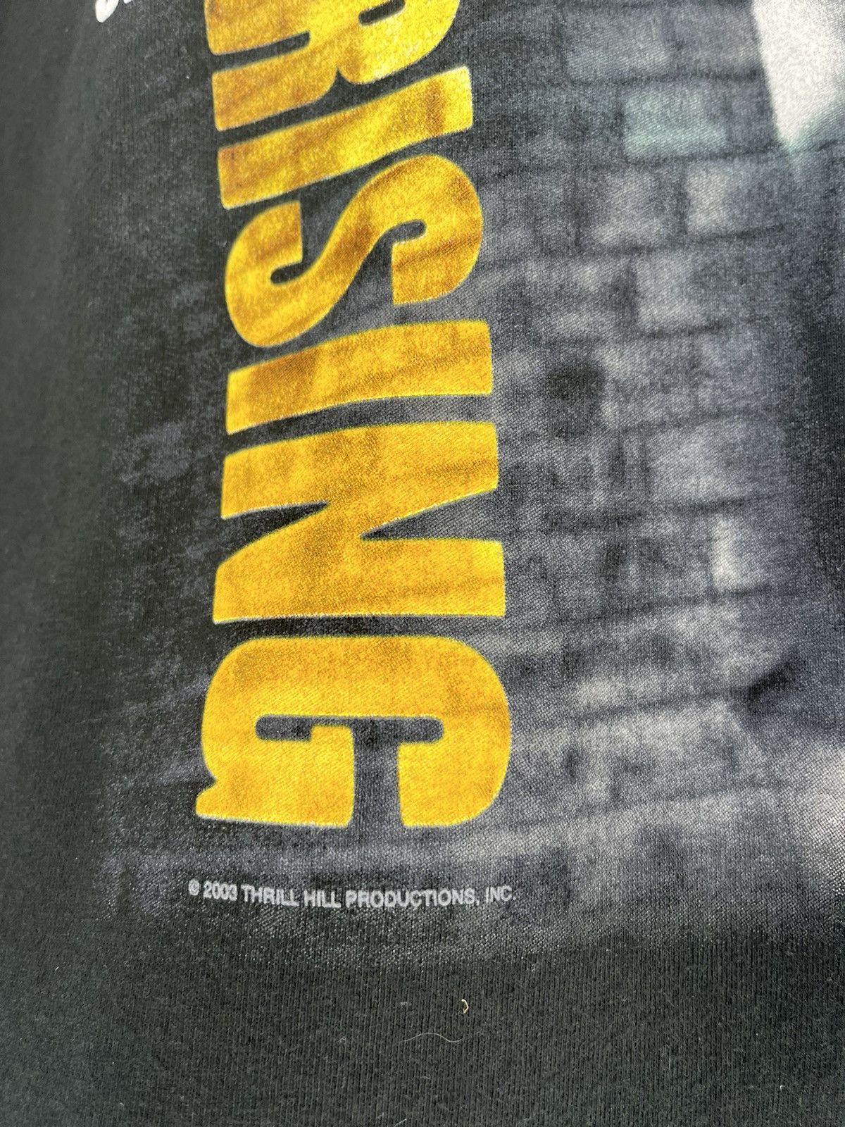 Band Tees × Vintage Vintage Y2K Bruce Springsteen “The Rising” Tour 2003 Tshirt Size US M / EU 48-50 / 2 - 7 Thumbnail