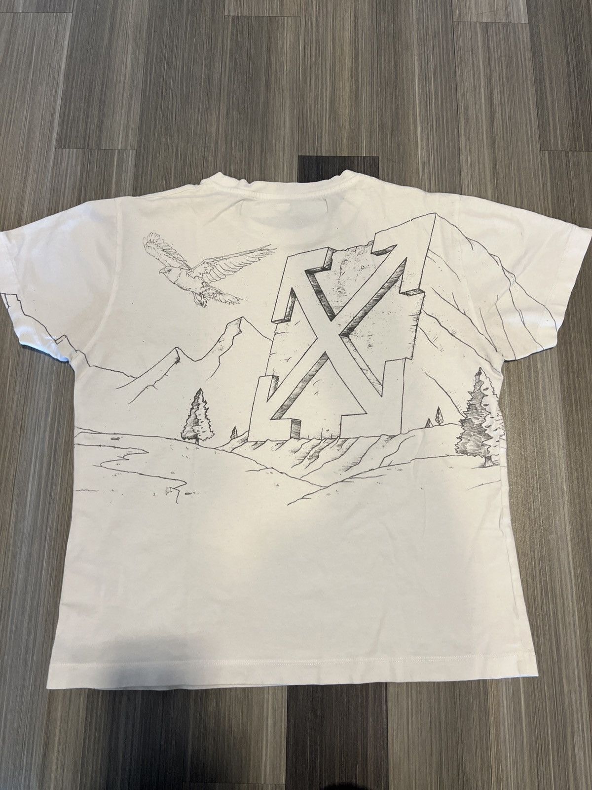 image of Off White Off-White Diagonal Eagle Print T-Shirt, Men's (Size Small)