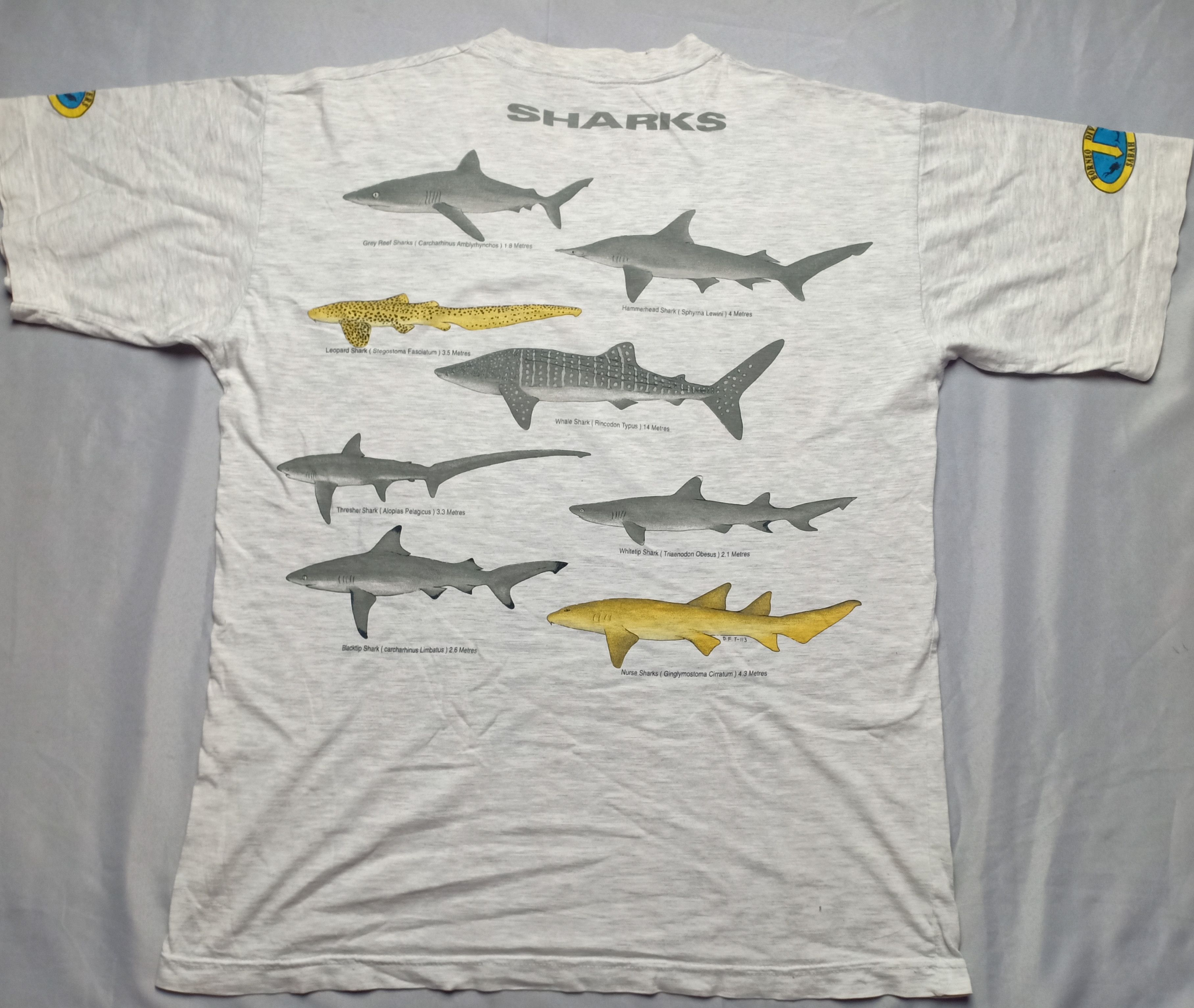 Band Tees Vintage 90s Sipadan Borneo Divers Sabah Sharks Jaws Fish Size US L / EU 52-54 / 3 - 1 Thumbnail