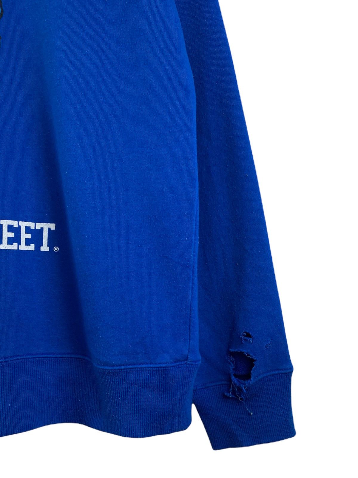 Anime × Cartoon Network Vintage Manhattan Sesame street sweatshirt Size US L / EU 52-54 / 3 - 3 Thumbnail
