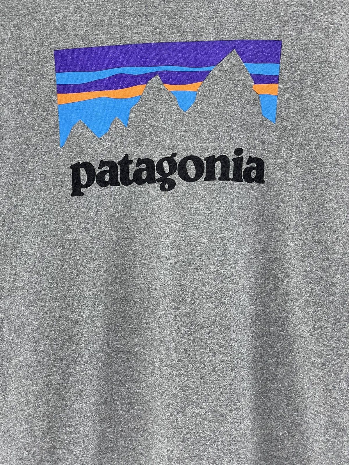 Patagonia patagonia longsleeve Size US M / EU 48-50 / 2 - 3 Thumbnail
