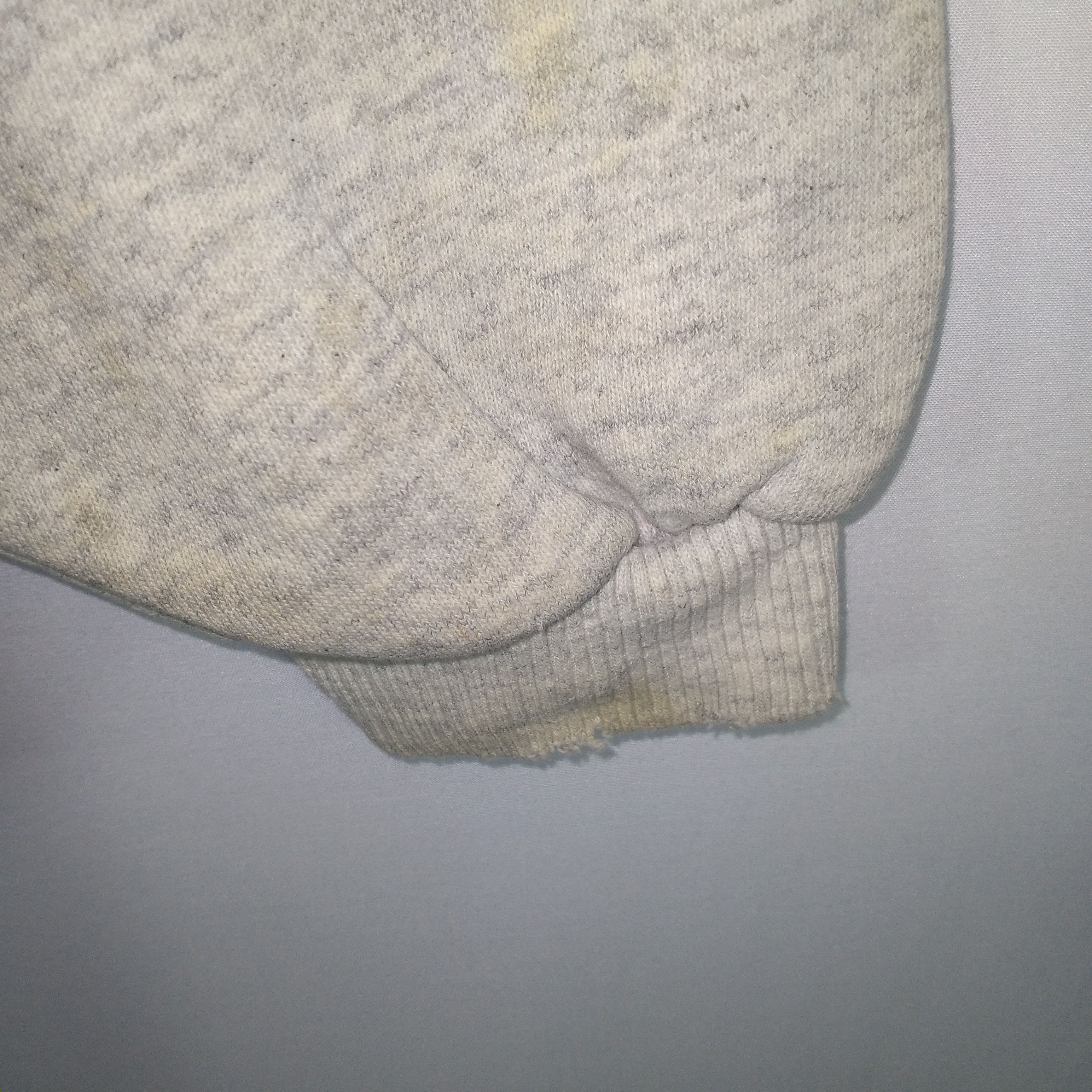Vintage Distressed 90s Little Turtle Hertel Express Sweatshirts Size US L / EU 52-54 / 3 - 9 Thumbnail