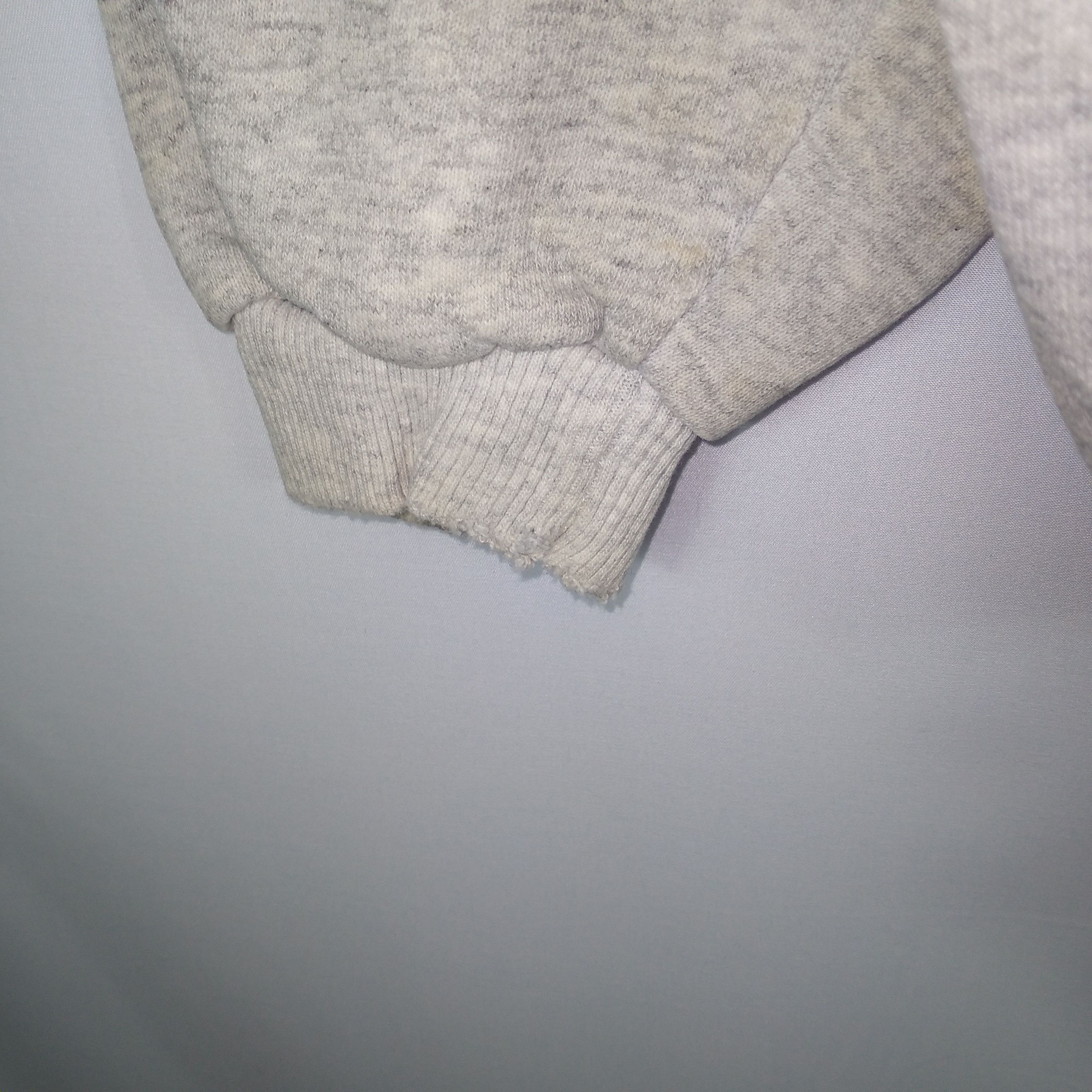 Vintage Distressed 90s Little Turtle Hertel Express Sweatshirts Size US L / EU 52-54 / 3 - 7 Thumbnail