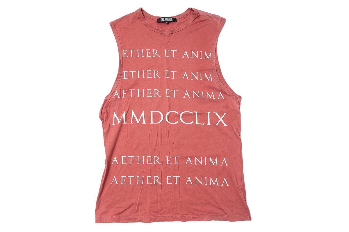 image of Raf Simons Ss06 'aether Et Anima' Tank Top in Salmon, Men's (Size Medium)