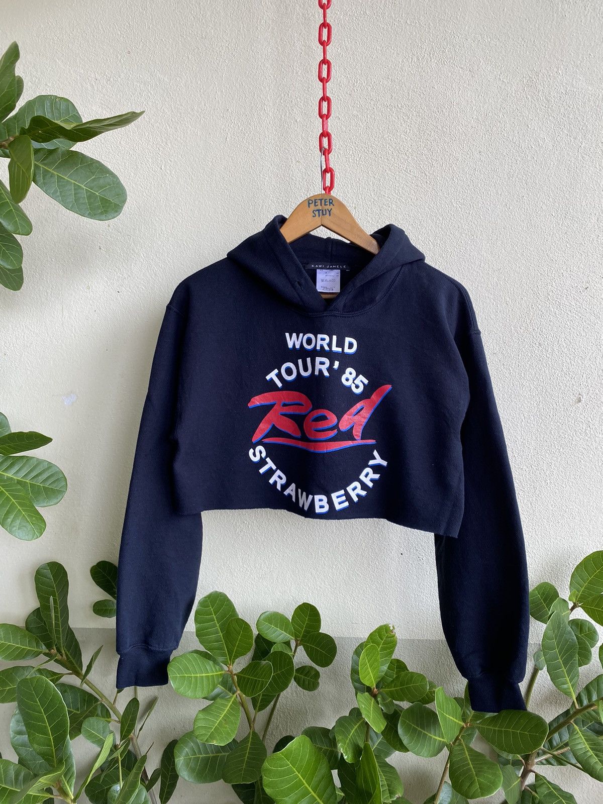 Kawi Jamele Red world tour 85 strawberry cropped hoodie