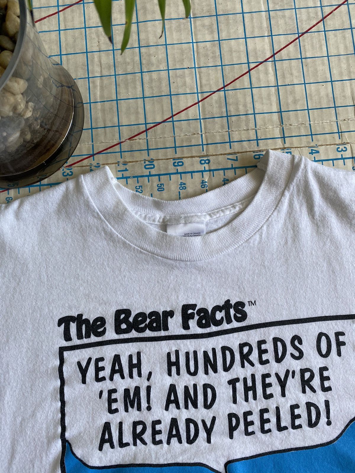 Vintage The Bear Facts Animal Humor Tee Nudist Colony Fits Large Size US L / EU 52-54 / 3 - 7 Thumbnail