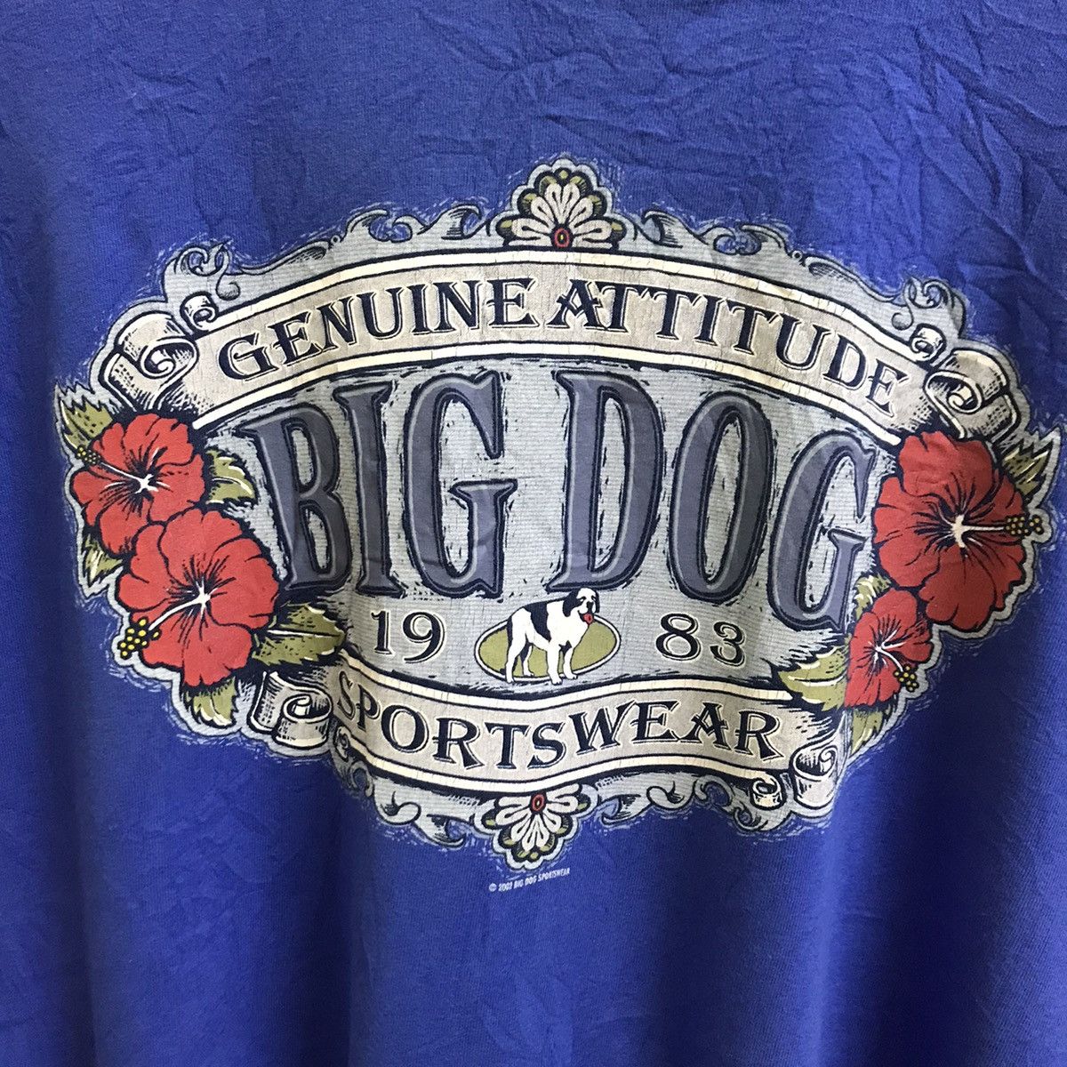 Big Dogs × Vintage VINTAGE 2000 BIG DOG SPORTWEAR BIGLOGO T-shirt Size US XXL / EU 58 / 5 - 9 Thumbnail
