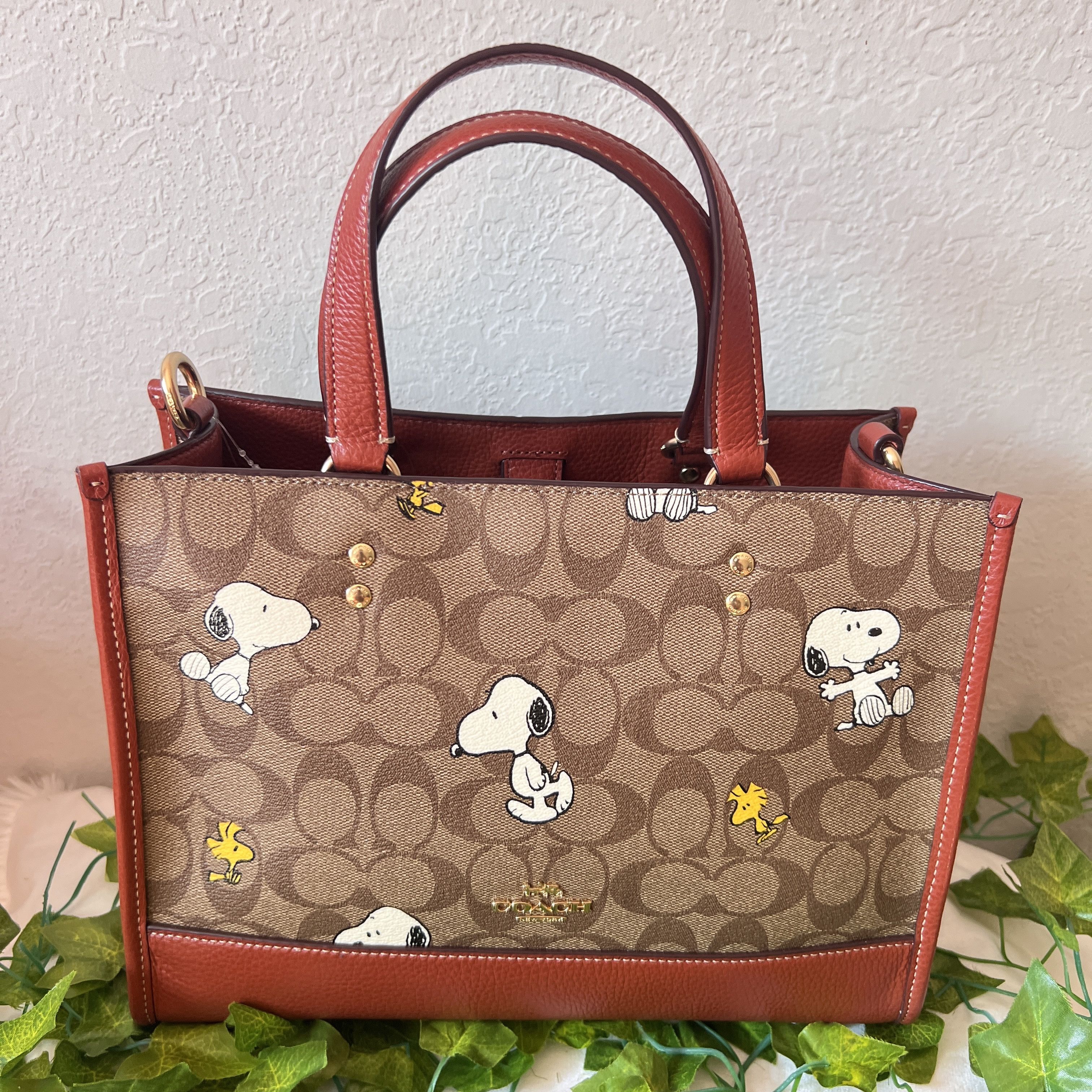 NWT Coach X Peanuts City Tote In Signature Canvas shops With Snoopy Woodstock Print