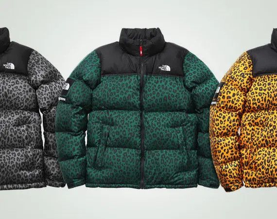 North face supreme cheetah print jacket best sale