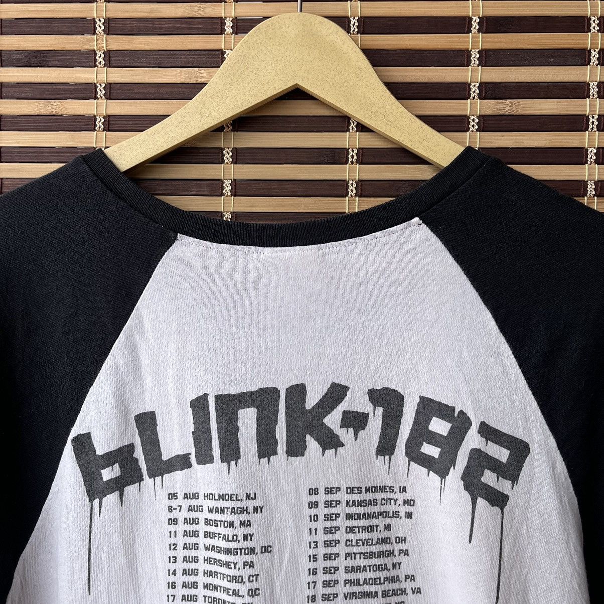 Band Tees Blink 182 Anvil Raglan TShirt Concert Tour 2011 Band Tees Size US L / EU 52-54 / 3 - 21 Thumbnail