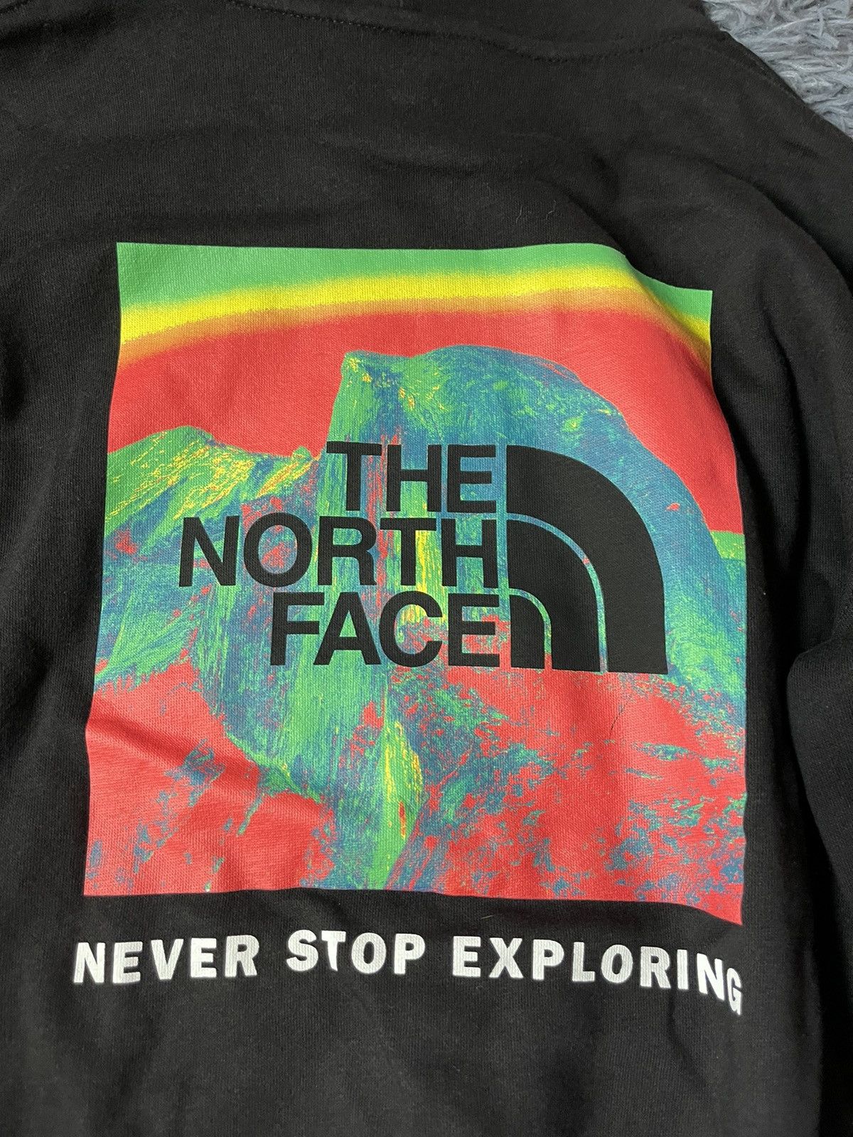 The North Face The North Face NWT huge logo gorpcore style hoodie TNF Size US M / EU 48-50 / 2 - 5 Thumbnail