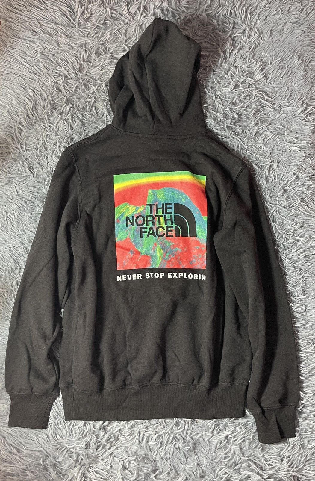 The North Face The North Face NWT huge logo gorpcore style hoodie TNF Size US M / EU 48-50 / 2 - 1 Thumbnail