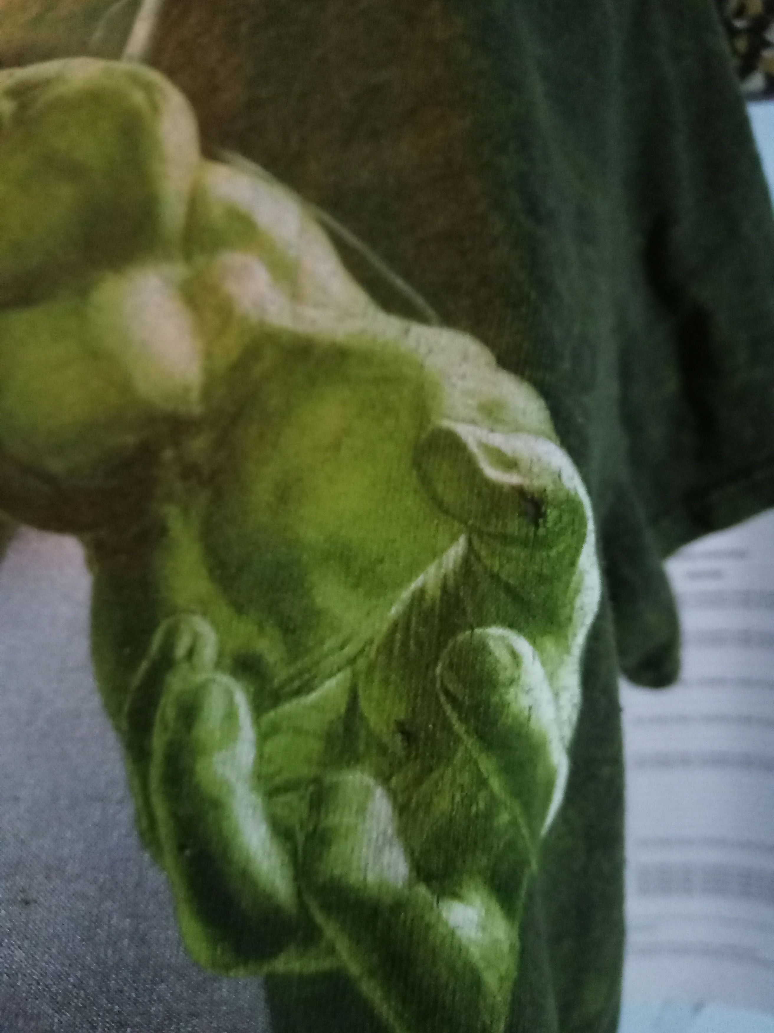 DC Comics Hulk Green Acid Wash Rare Marvel Superhero DC comics Size US L / EU 52-54 / 3 - 3 Thumbnail