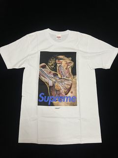 Supreme Undercover Anatomy Tee | Grailed