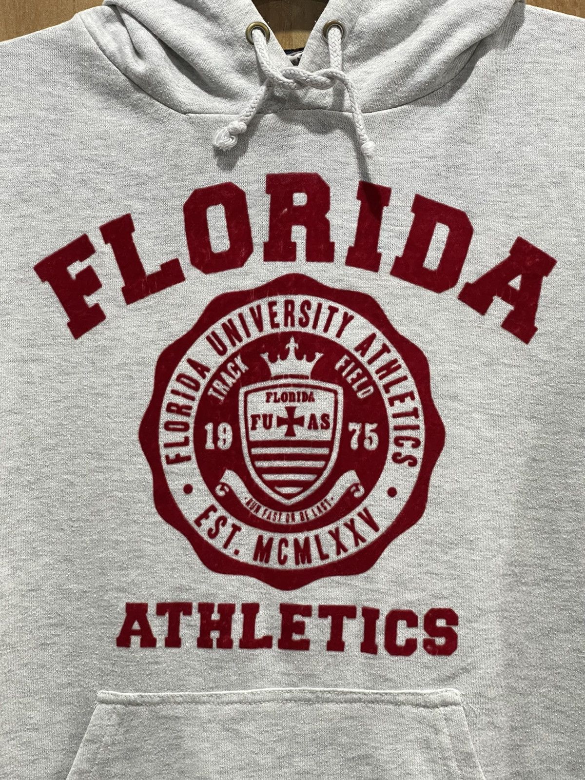 Vintage Special Florida University Athletic Velvet Print Logo Hoodie Size US M / EU 48-50 / 2 - 2 Thumbnail