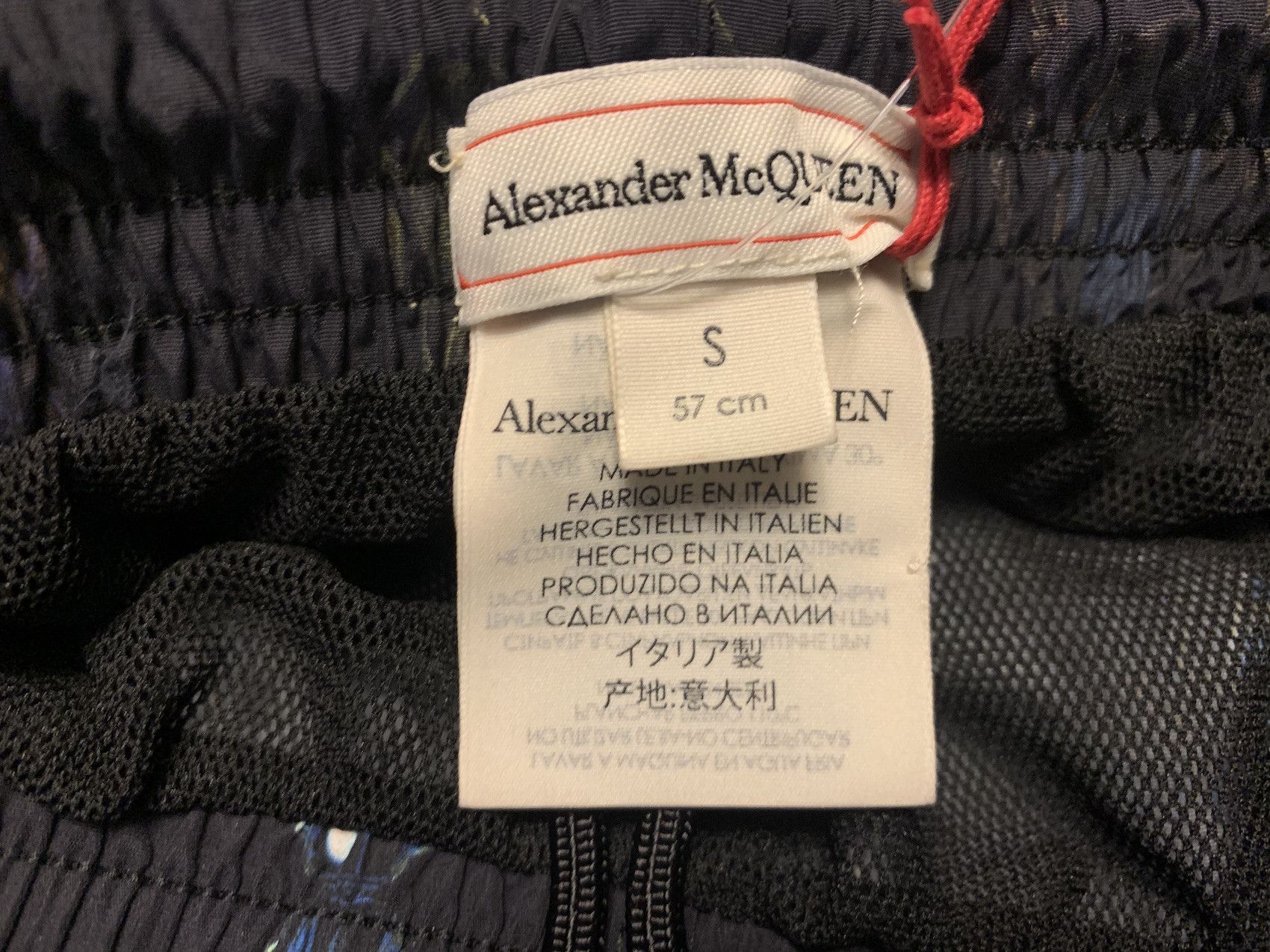 Alexander McQueen FW'19 Swim Shorts Beetle Print Size US 30 / EU 46 - 3 Thumbnail