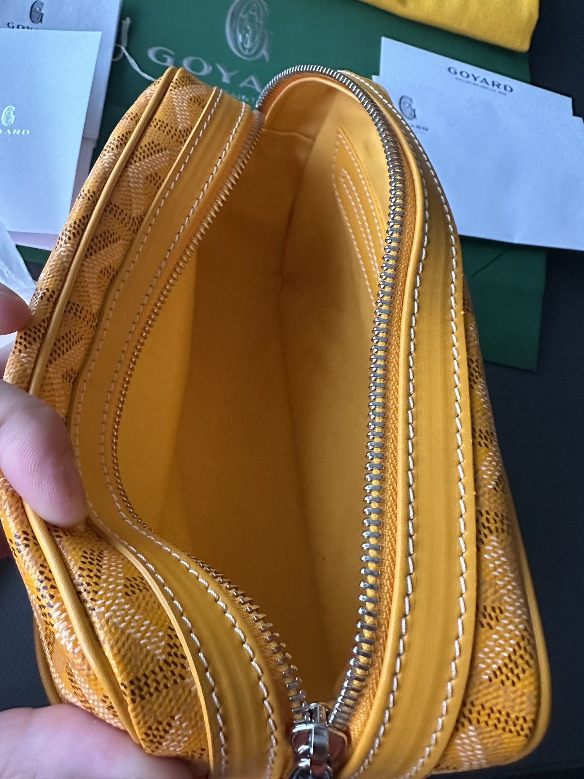 Goyard Brand New Limited Super Rare Cap Vert Goyard Camera Bag Size ONE SIZE - 22 Thumbnail