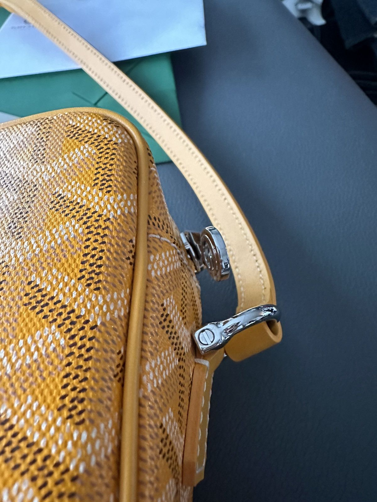 Goyard Brand New Limited Super Rare Cap Vert Goyard Camera Bag Size ONE SIZE - 10 Thumbnail
