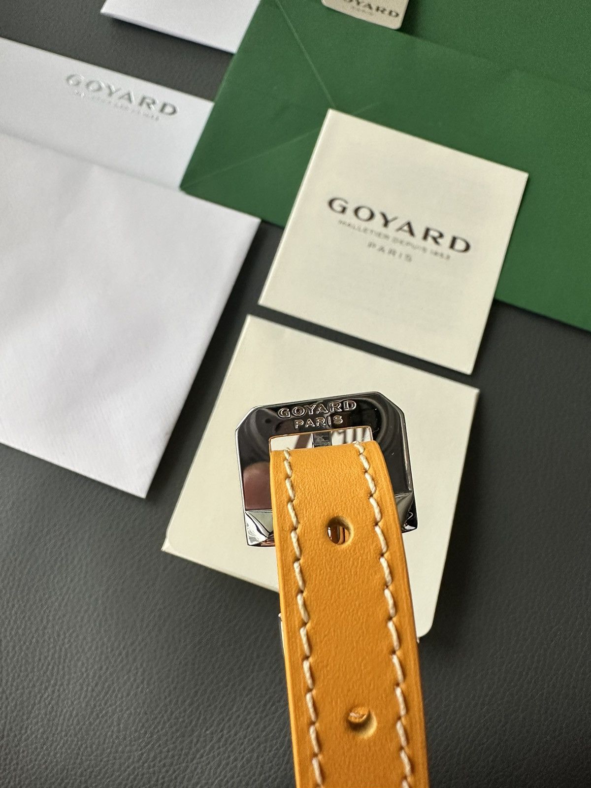 Goyard Brand New Limited Super Rare Cap Vert Goyard Camera Bag Size ONE SIZE - 6 Thumbnail