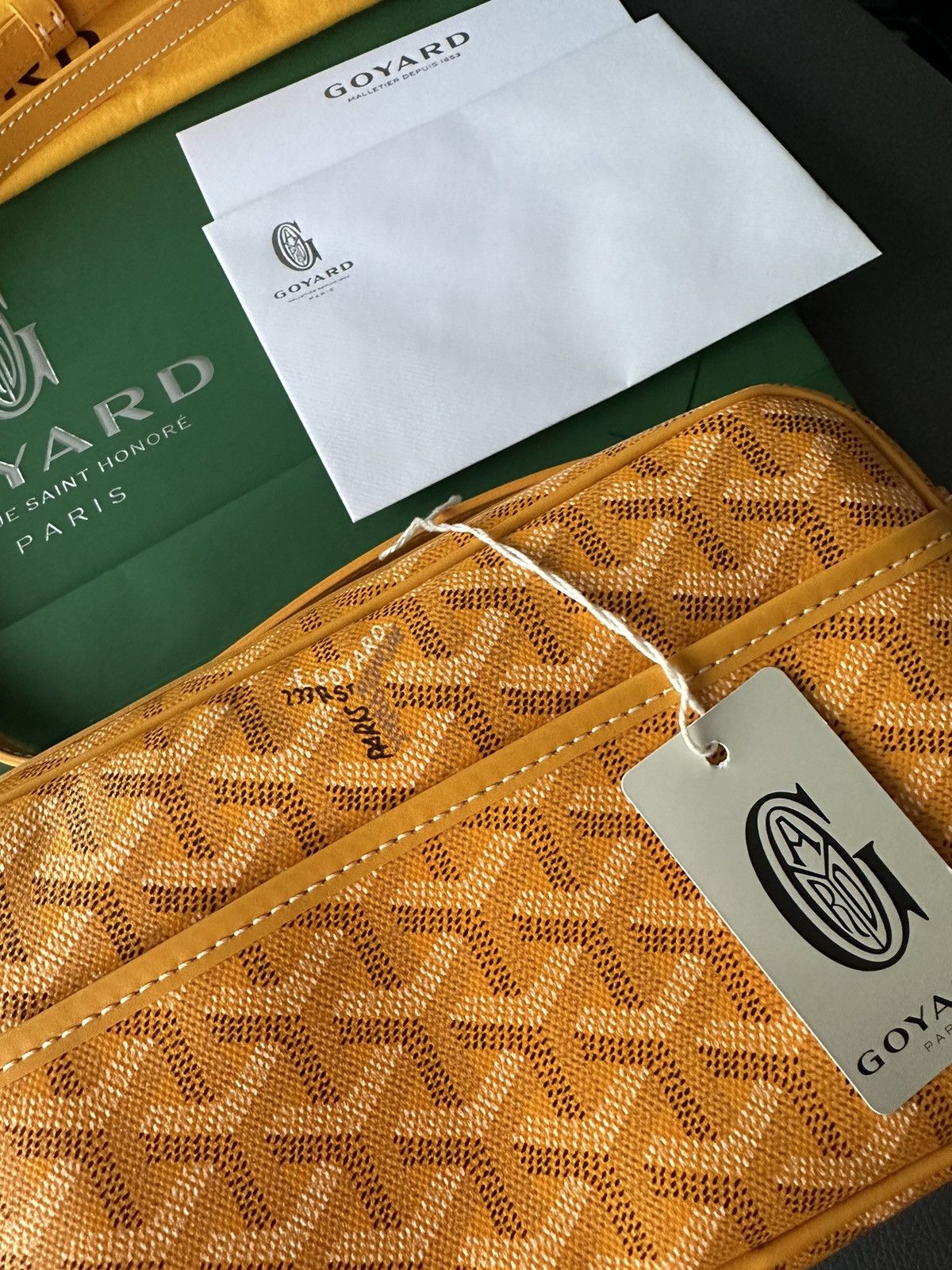 Goyard Brand New Limited Super Rare Cap Vert Goyard Camera Bag Size ONE SIZE - 7 Thumbnail