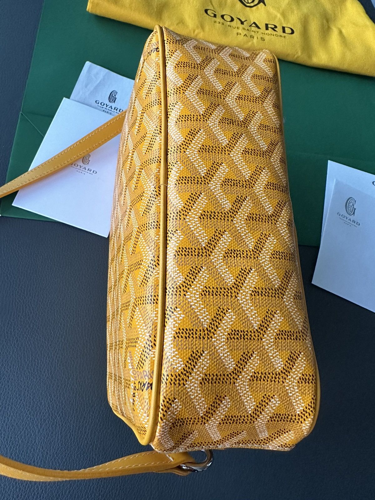 Goyard Brand New Limited Super Rare Cap Vert Goyard Camera Bag Size ONE SIZE - 24 Thumbnail
