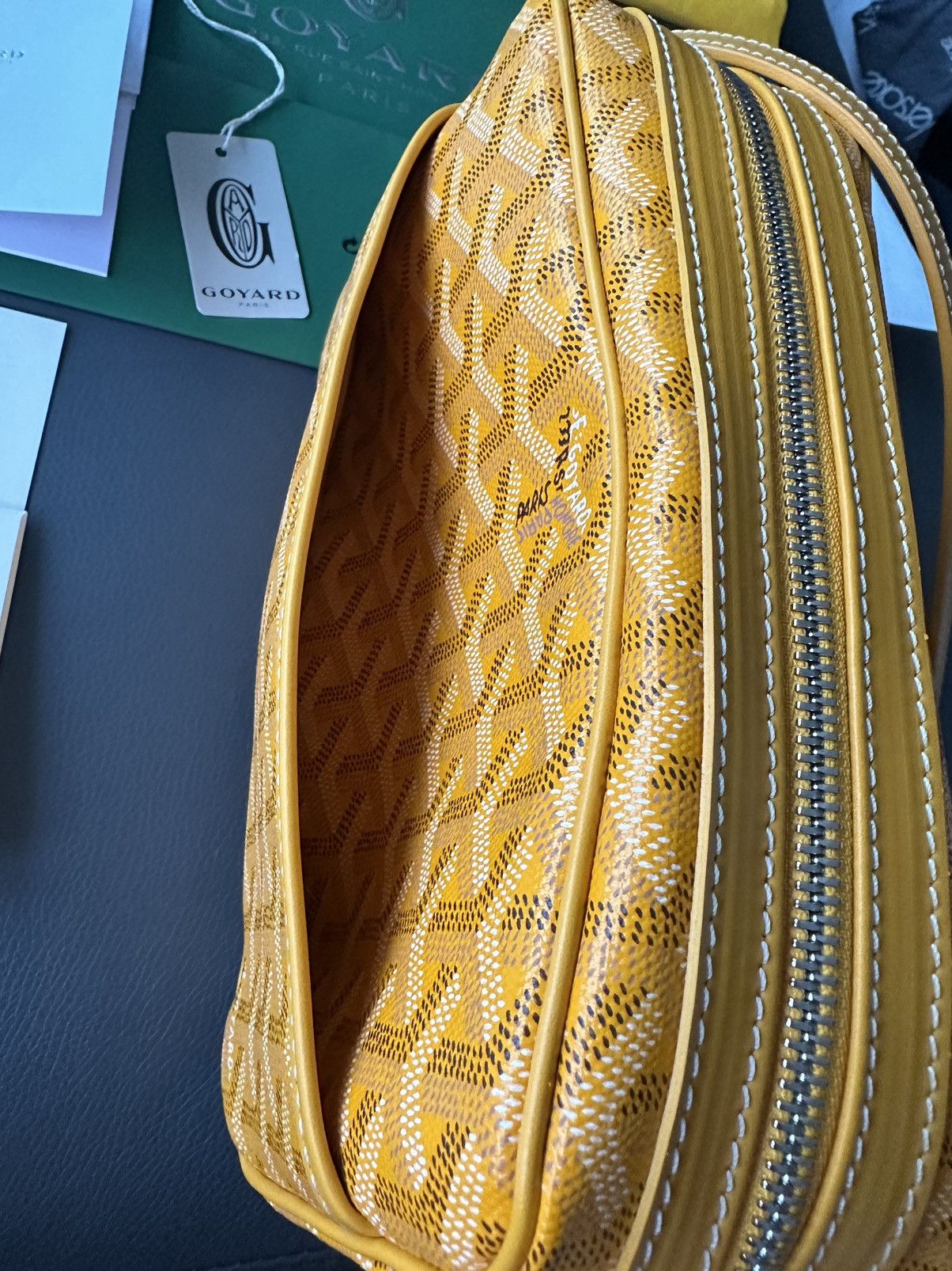 Goyard Brand New Limited Super Rare Cap Vert Goyard Camera Bag Size ONE SIZE - 16 Thumbnail