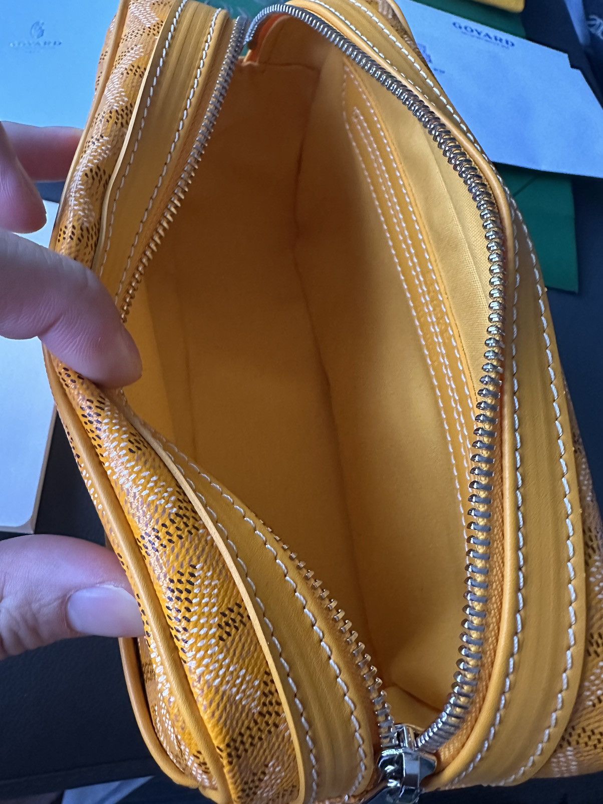 Goyard Brand New Limited Super Rare Cap Vert Goyard Camera Bag Size ONE SIZE - 17 Thumbnail