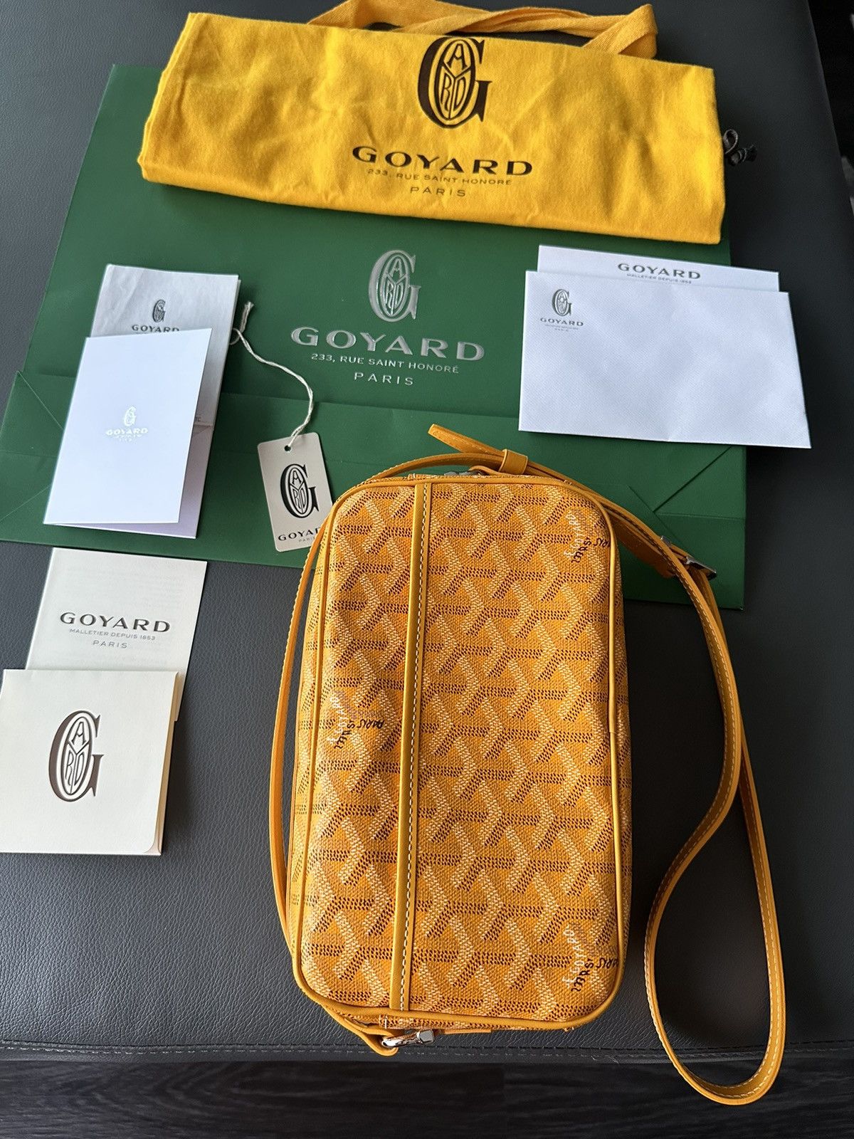 Goyard Brand New Limited Super Rare Cap Vert Goyard Camera Bag Size ONE SIZE - 14 Thumbnail
