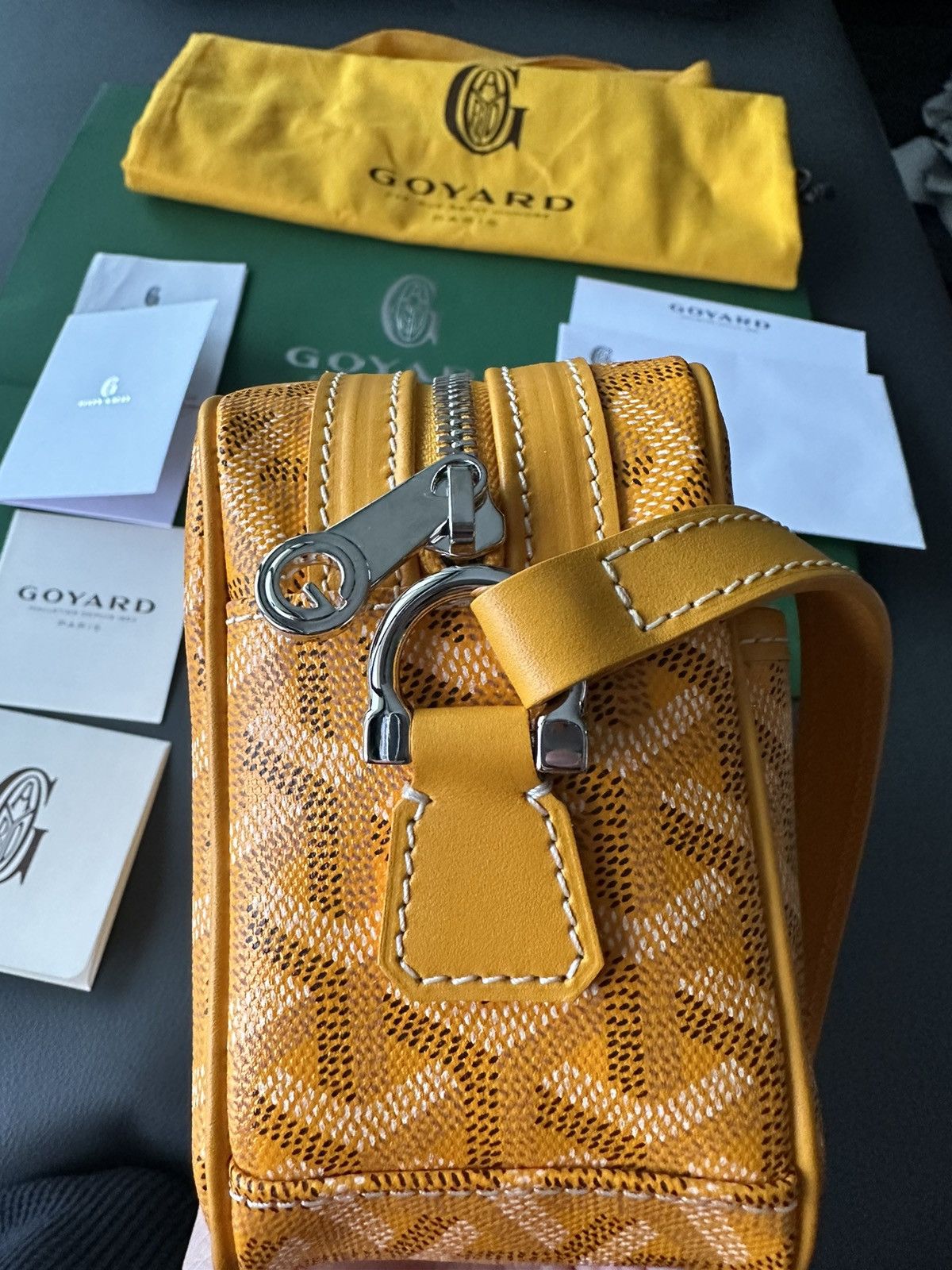 Goyard Brand New Limited Super Rare Cap Vert Goyard Camera Bag Size ONE SIZE - 8 Thumbnail