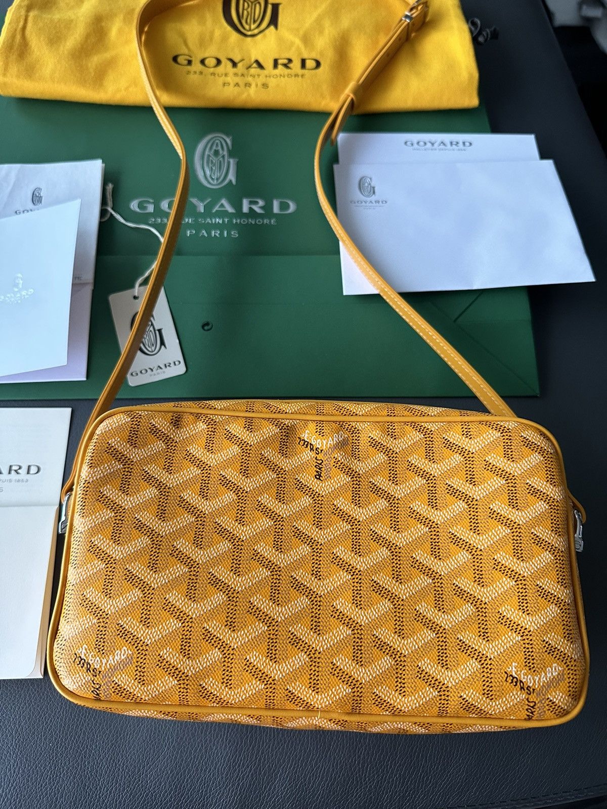 Goyard Brand New Limited Super Rare Cap Vert Goyard Camera Bag Size ONE SIZE - 15 Thumbnail