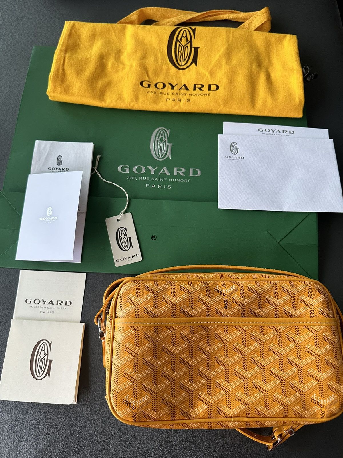 Goyard Brand New Limited Super Rare Cap Vert Goyard Camera Bag Size ONE SIZE - 9 Thumbnail